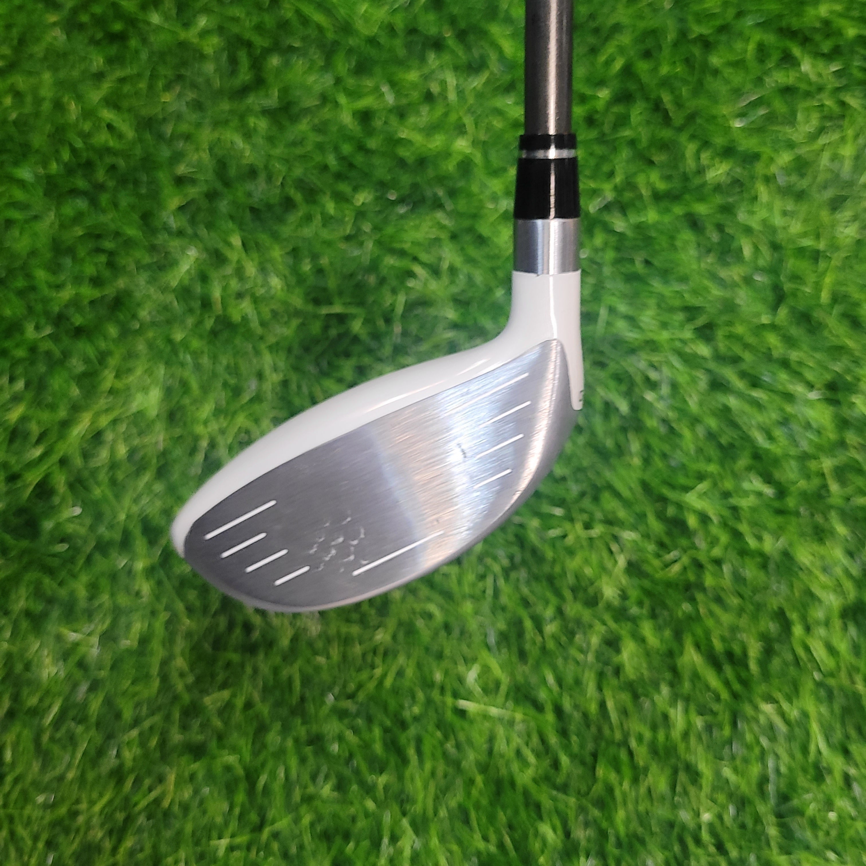 HONMA Wood / XP-1 / 5W / Women