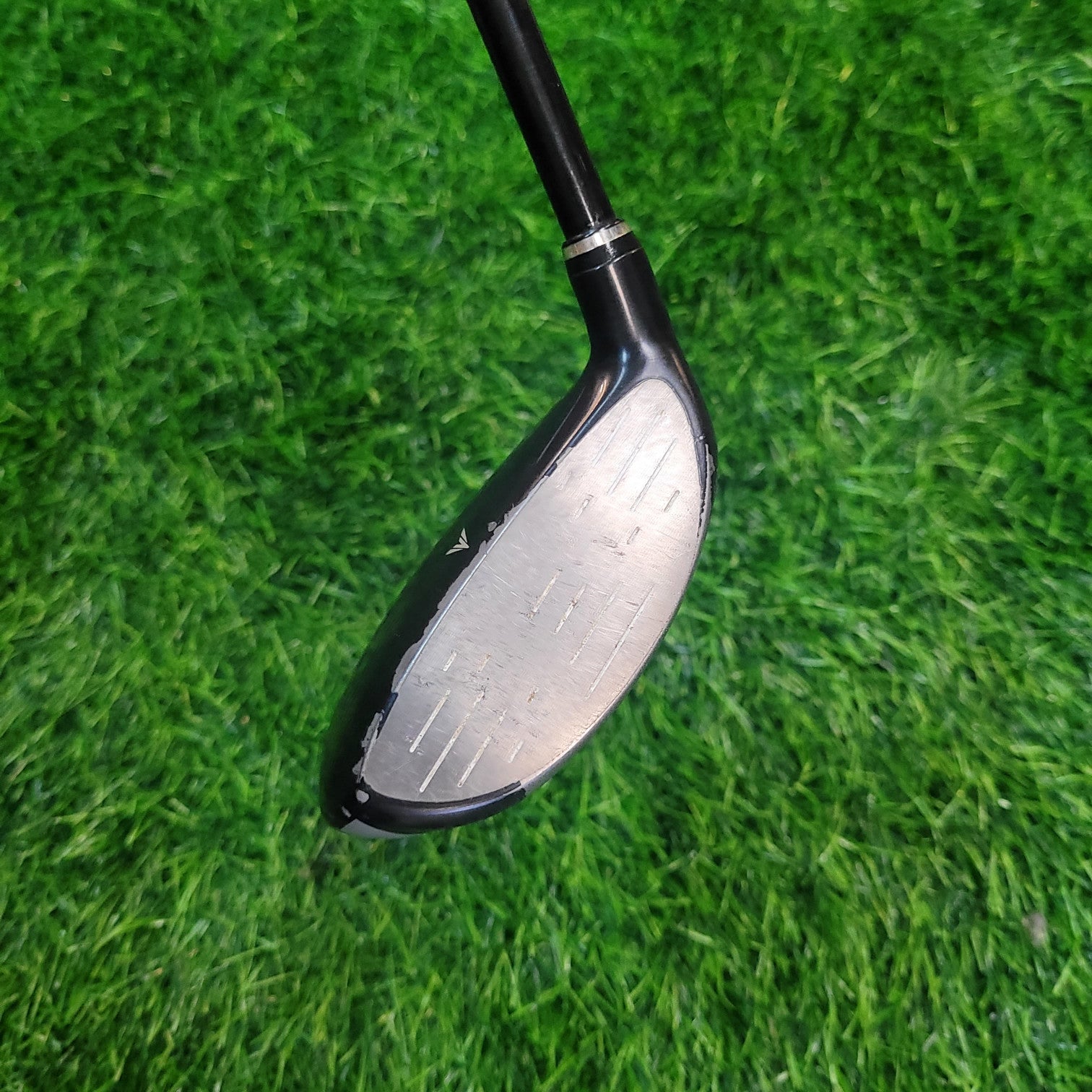 XXIO Wood / XXIO 6 / 7W / 20.0 / S