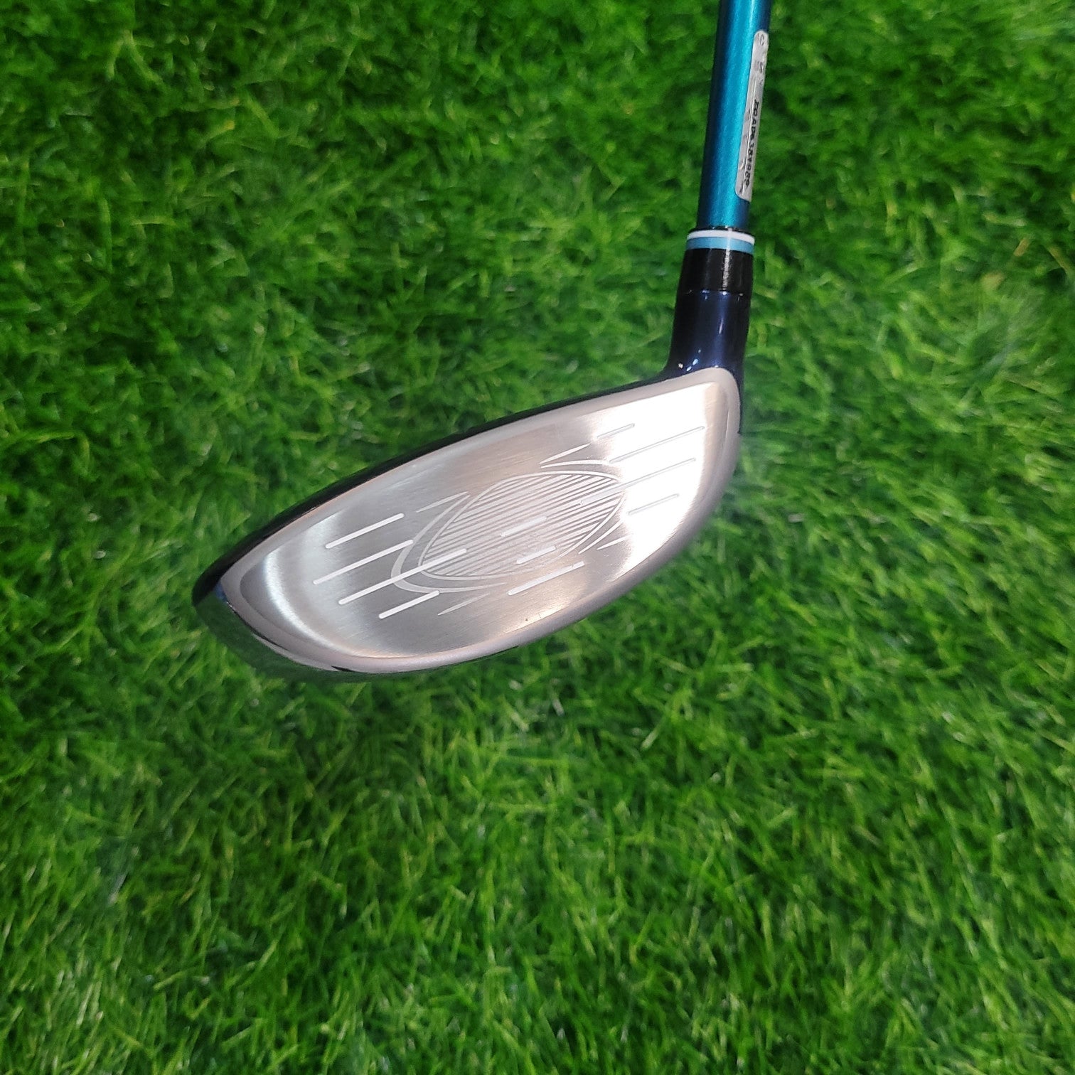 XXIO Wood / XXIO 12 / 5W / Women