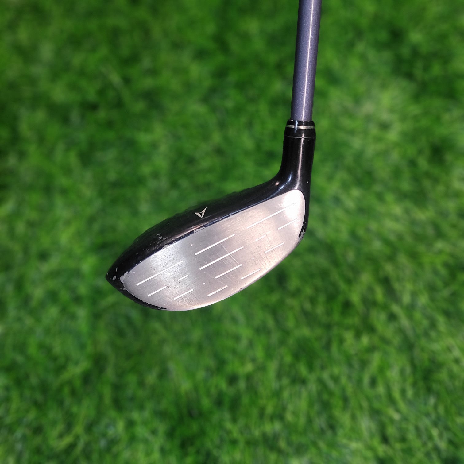 XXIO Wood / XXIO 3 / 7W / 20.0 / Women