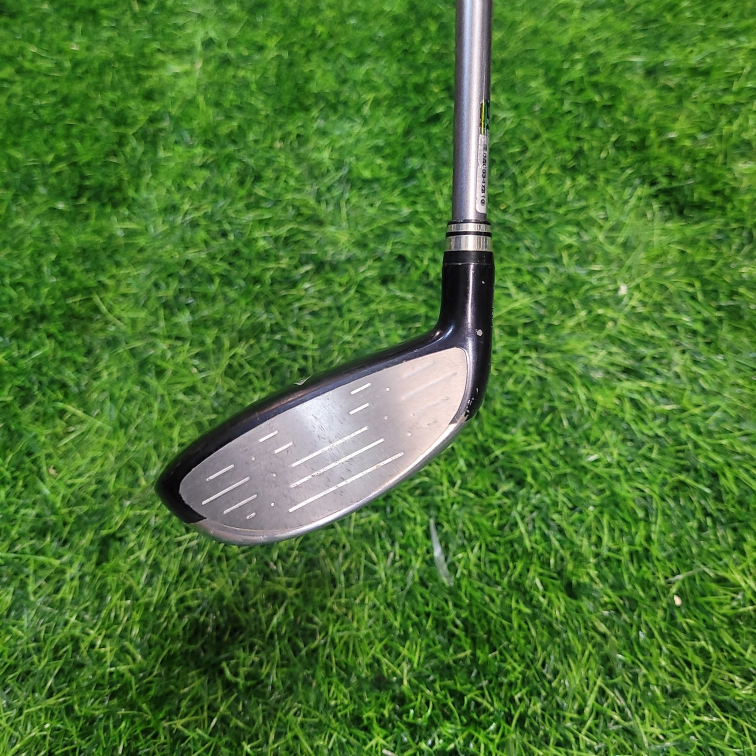 XXIO Wood / XXIO 7 / 5W (Pink) / Women