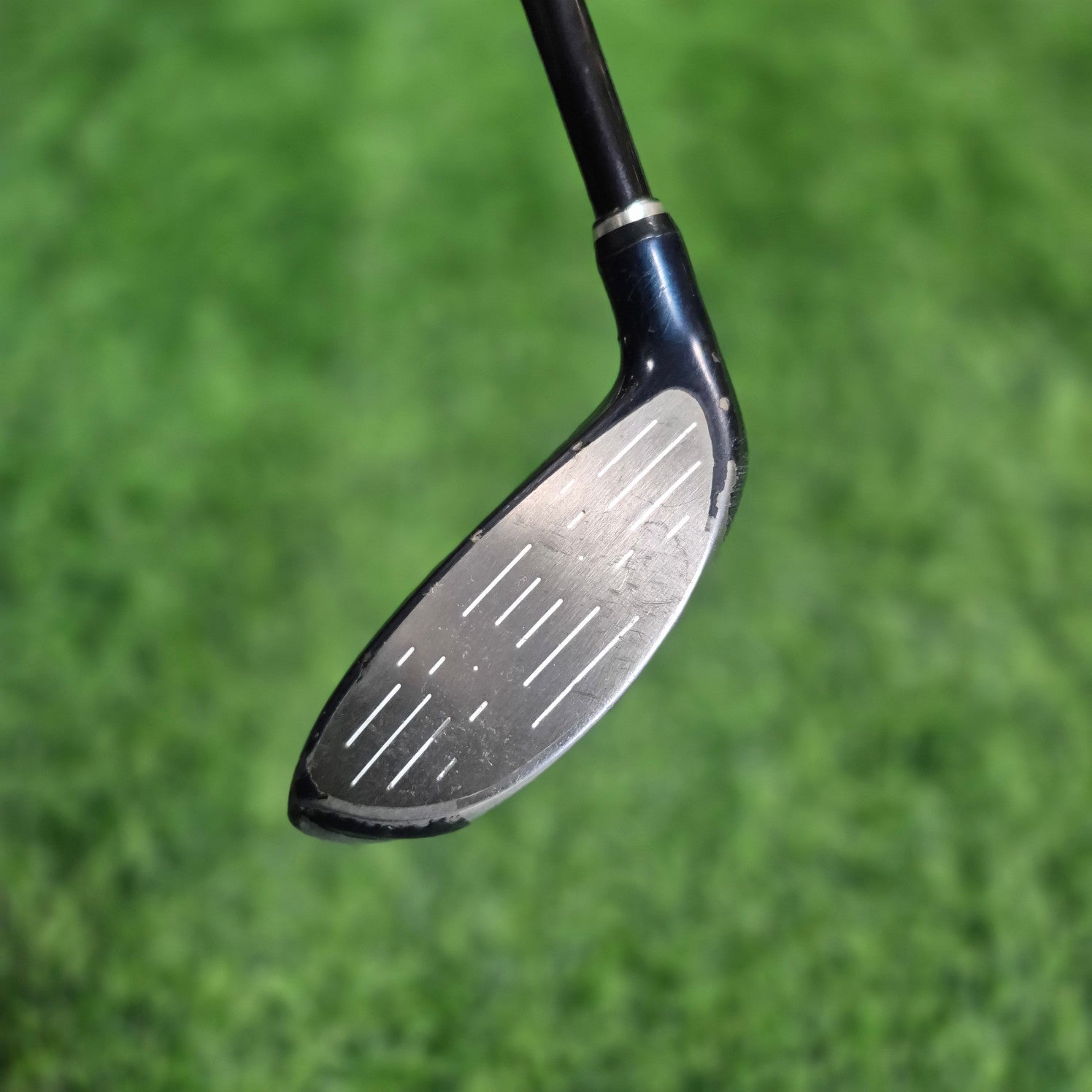 XXIO Wood / XXIO 6 / 9W(26.0) / Women