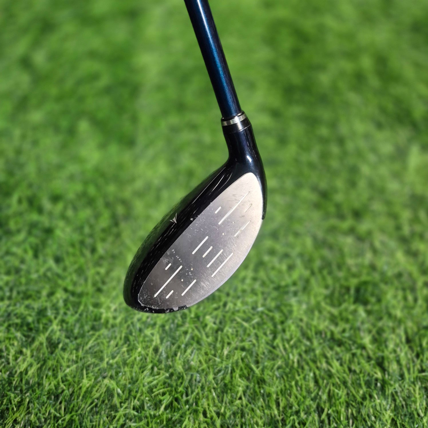 XXIO Wood / XXIO 5 / 7W(23.0) / Women(23.0)