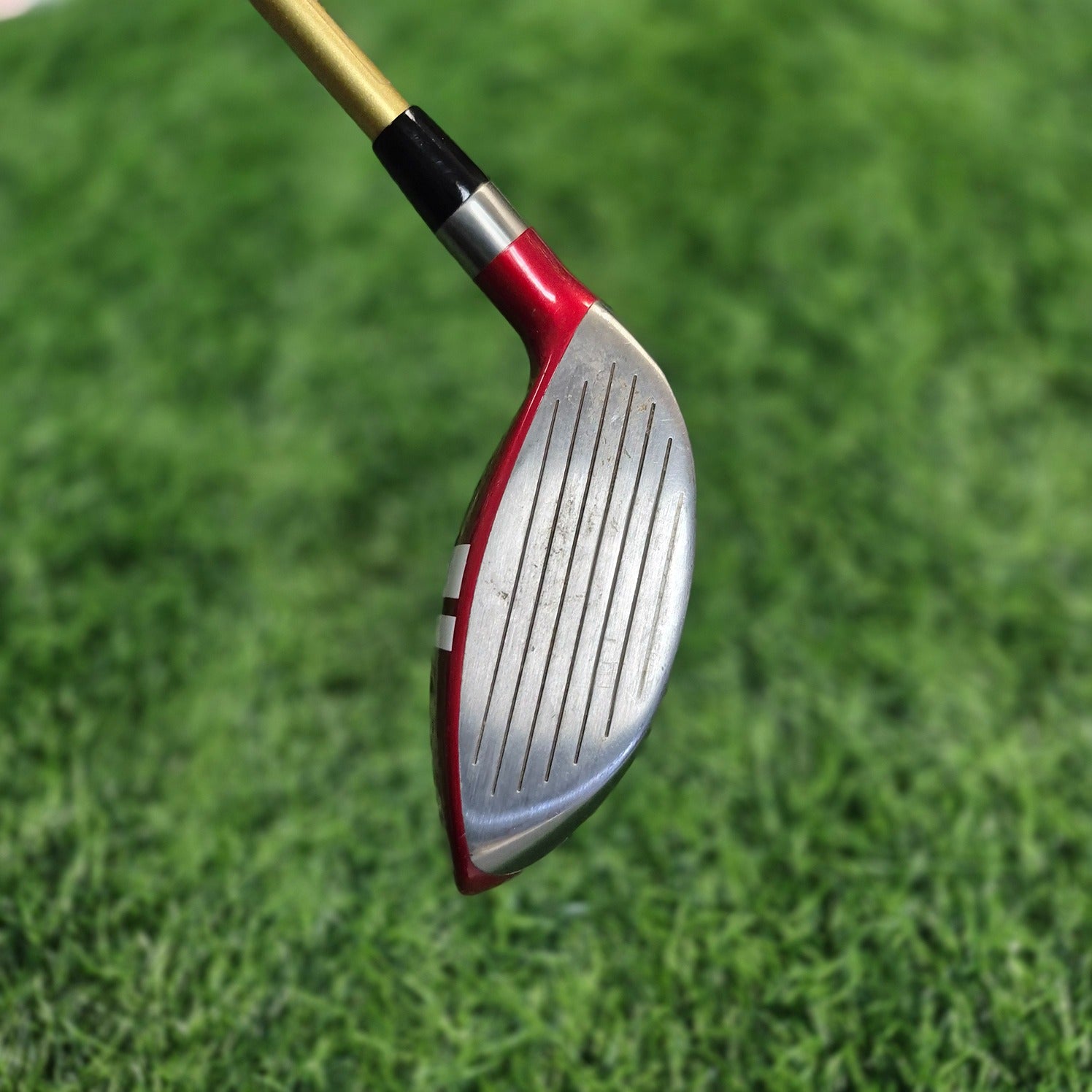 VIXA Wood / V12 / 3W(14.5) / R