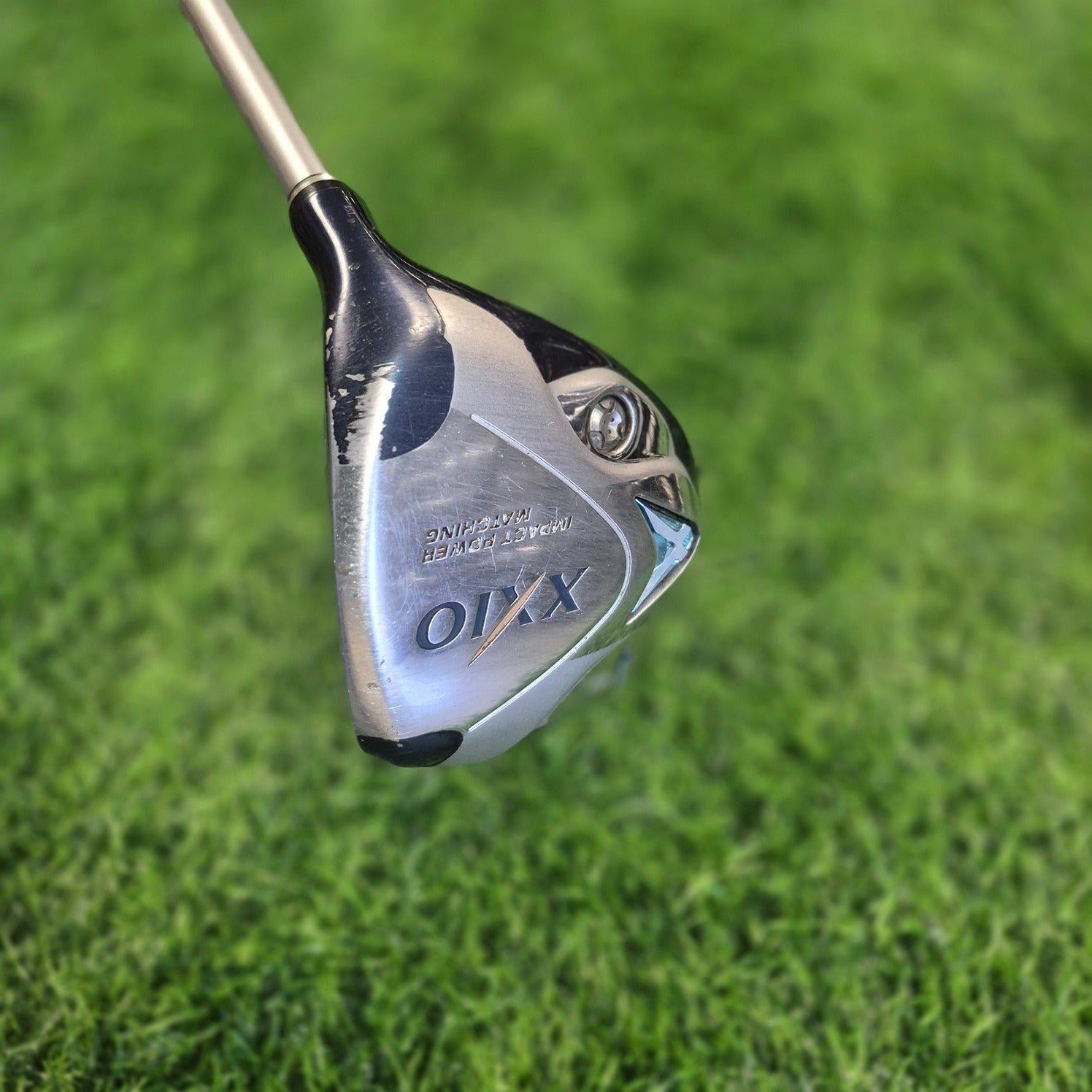 XXIO Wood / XXIO 6 / 4W(18.0) / Women