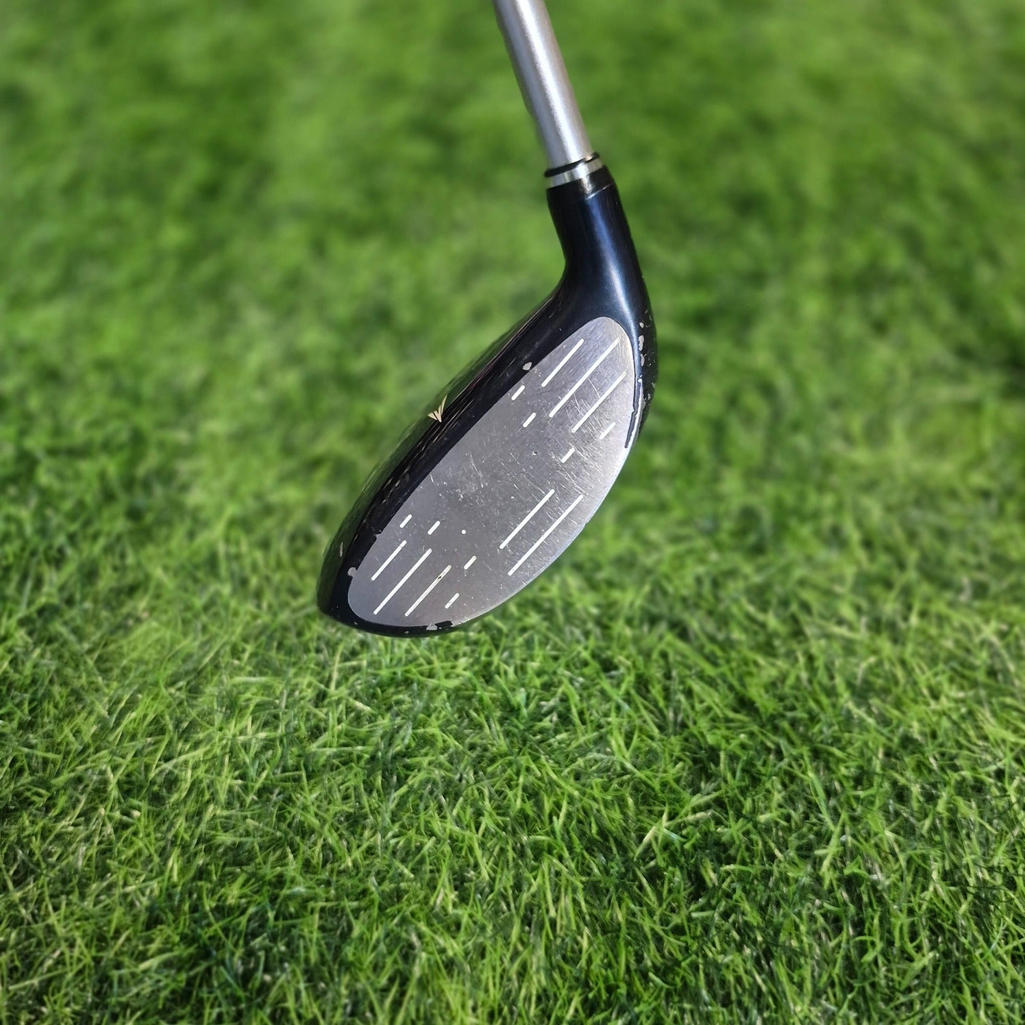 XXIO Wood / XXIO 6 / 4W(18.0) / Women