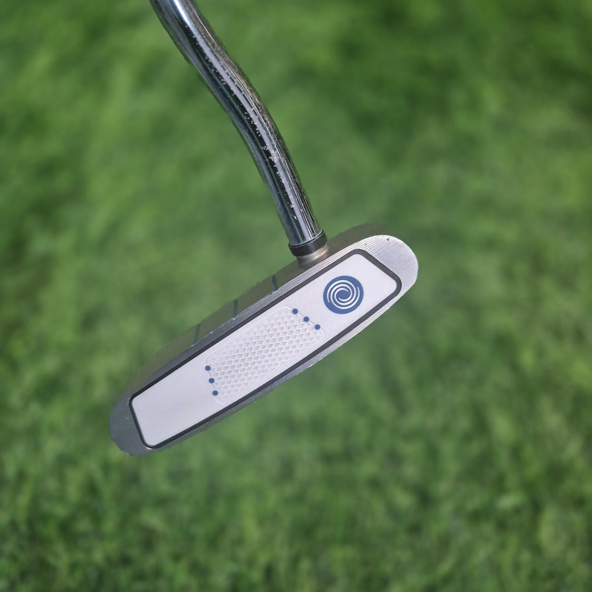 Odyssey Putter / DIVINE LINE ROSSIE / 32" / Women