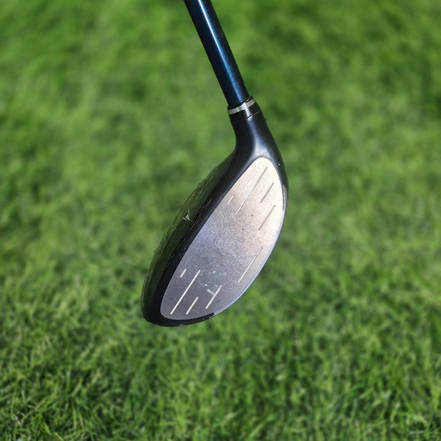 XXIO Wood / XXIO 5 / 3W(16.0) / Women / A