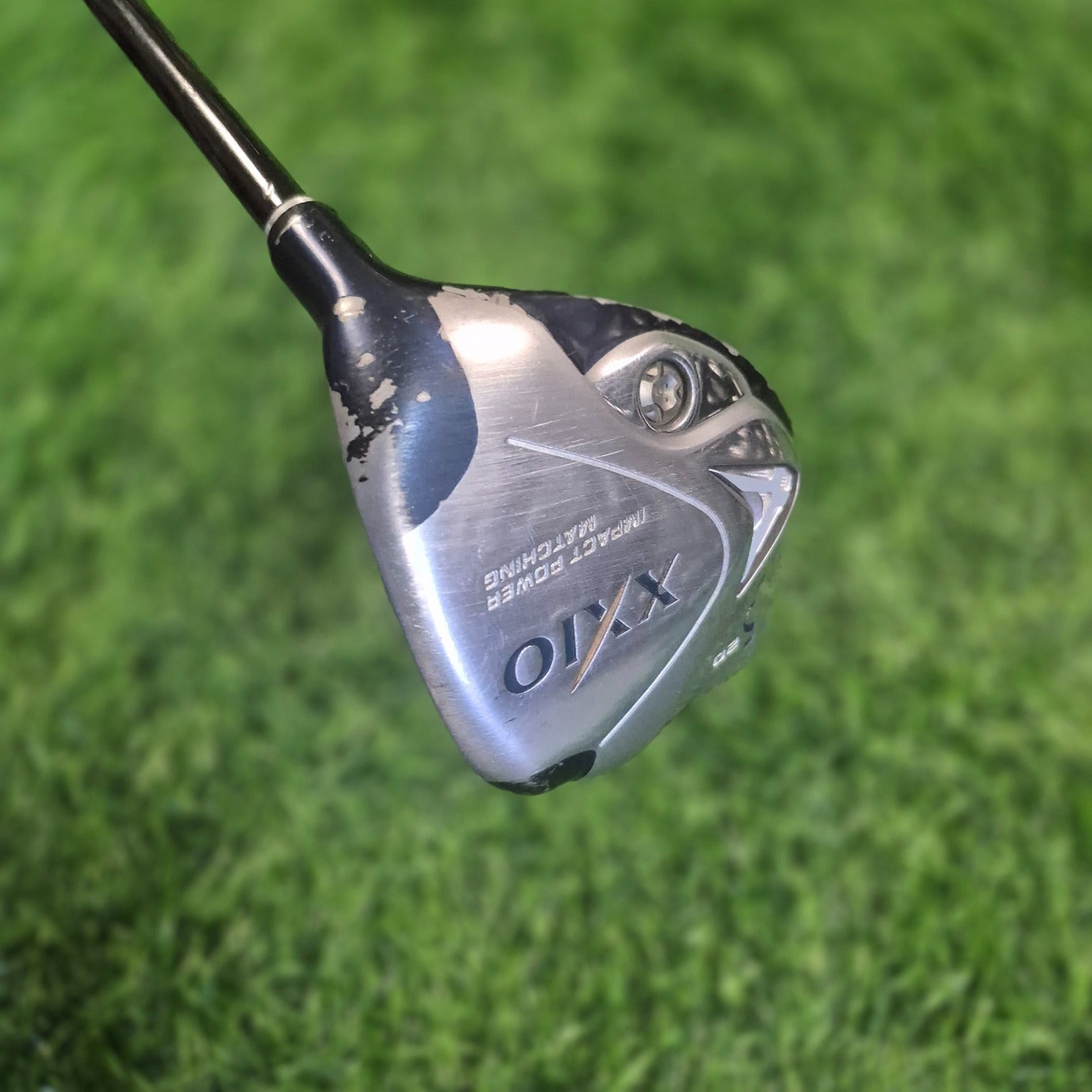 XXIO Wood / XXIO 6 / 5W(20.0) / Women