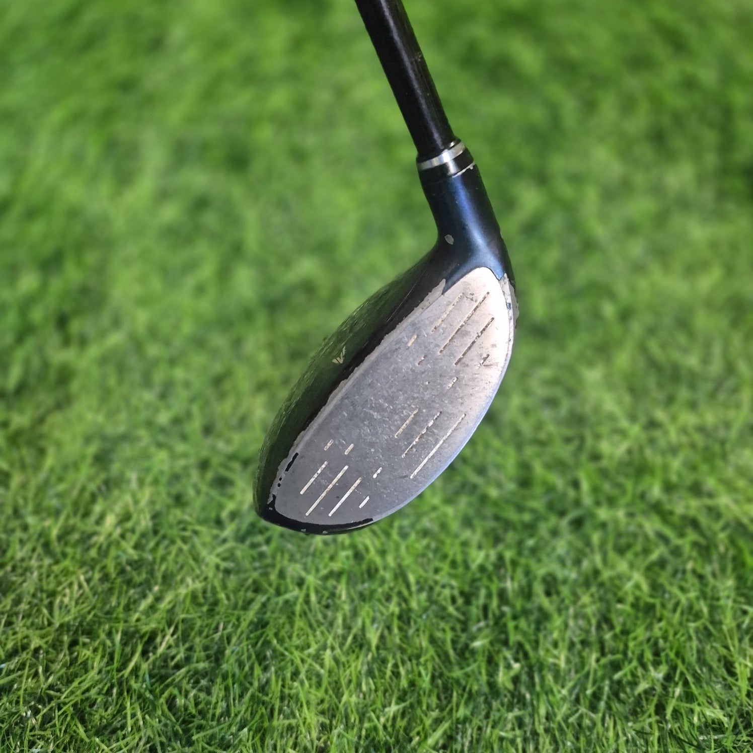 XXIO Wood / XXIO 6 / 5W(20.0) / Women