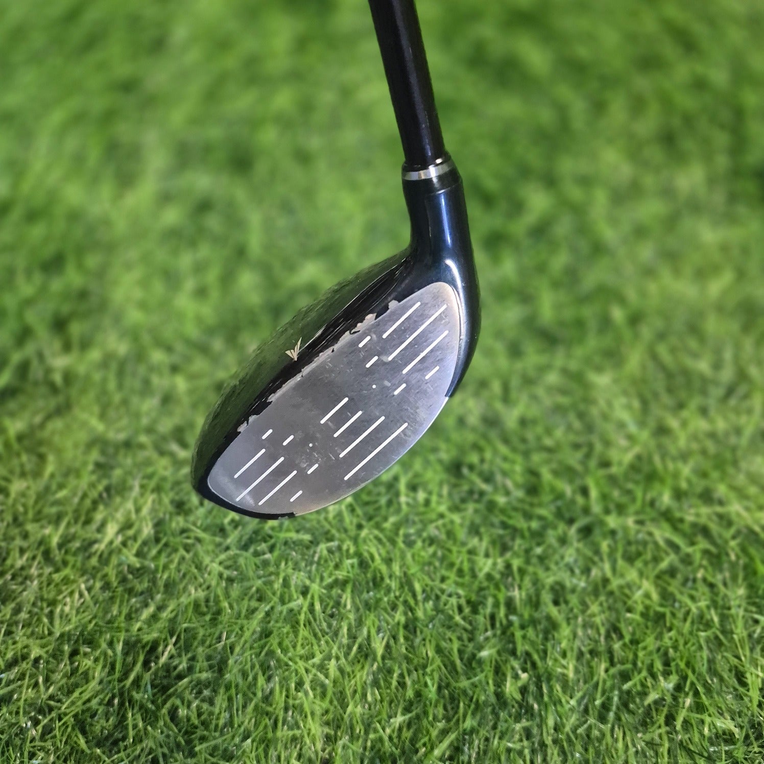 XXIO Wood / XXIO 6 / 7W(23.0) / Women