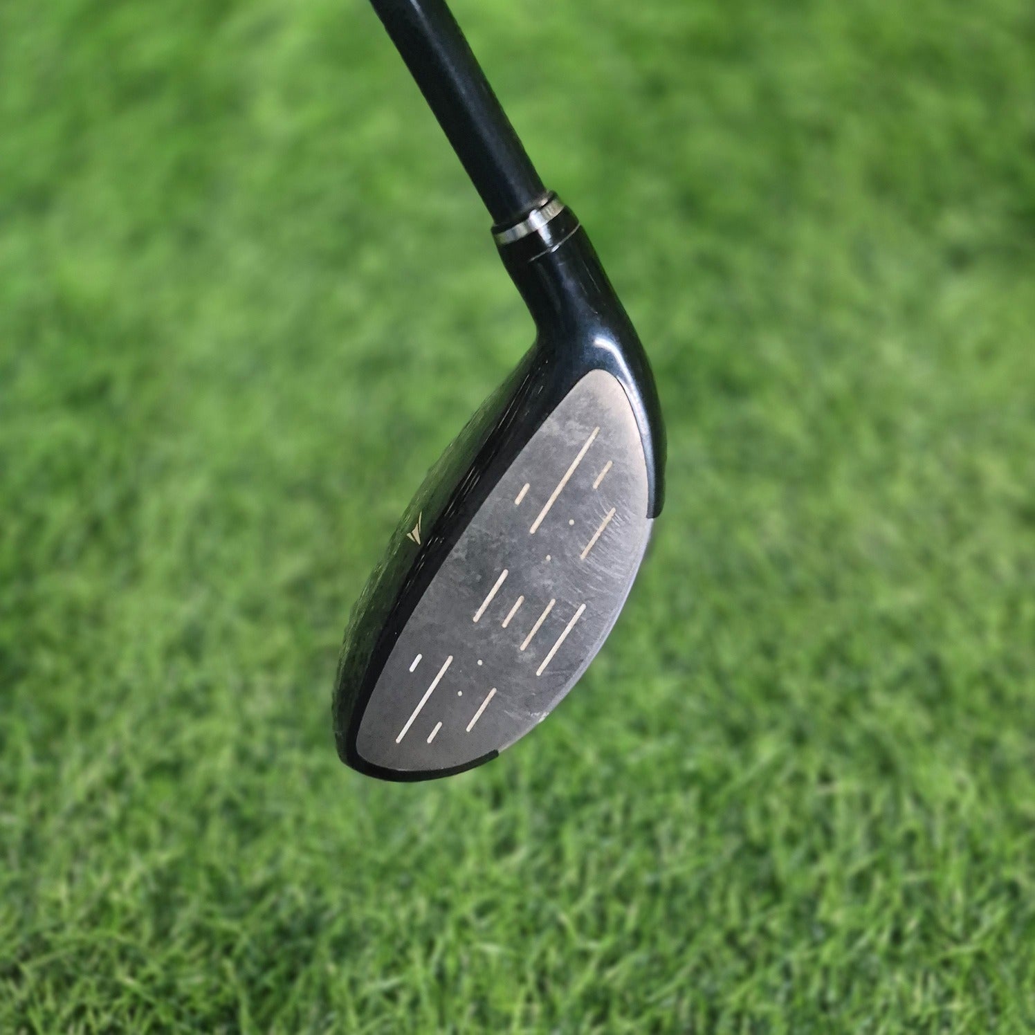 XXIO Wood / XXIO 5 / 7W (20.0°) / R