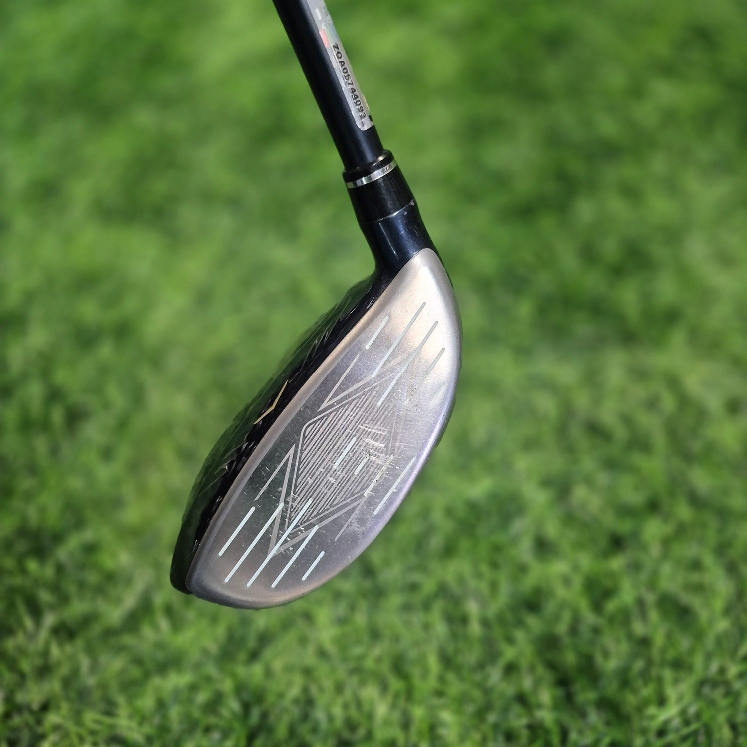 XXIO Wood / XXIO 12 / 5W(18.0) / R