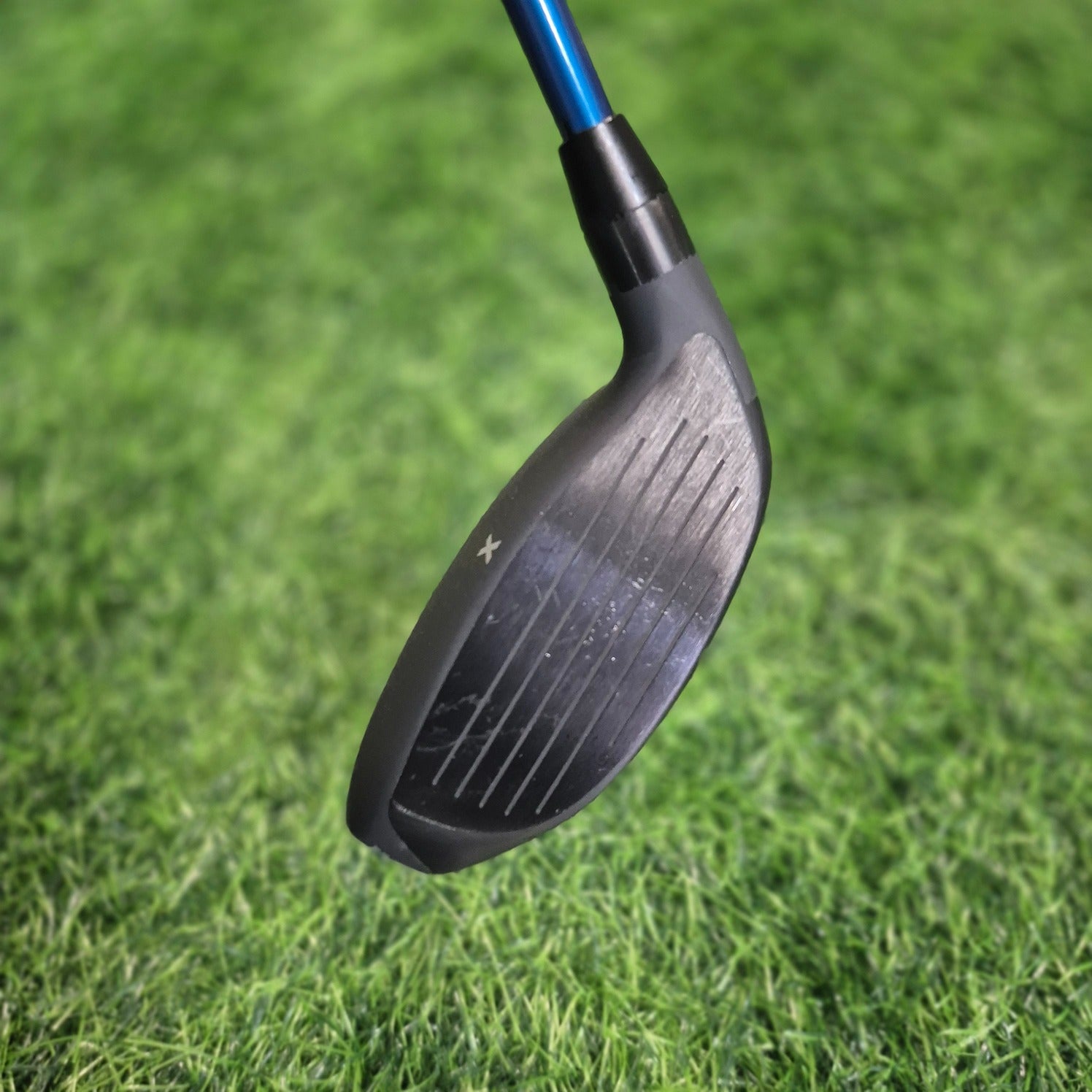PXG Wood / 0211 Z / 16.0 / R