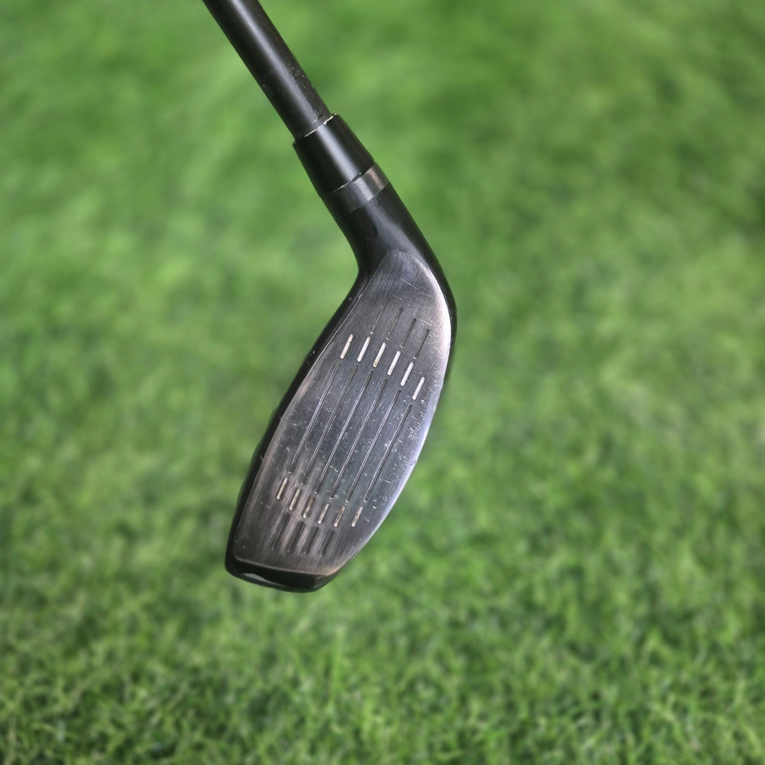 PXG Hybrid / 0317 X Gen4 / 3H(19.0) / A(Senior)