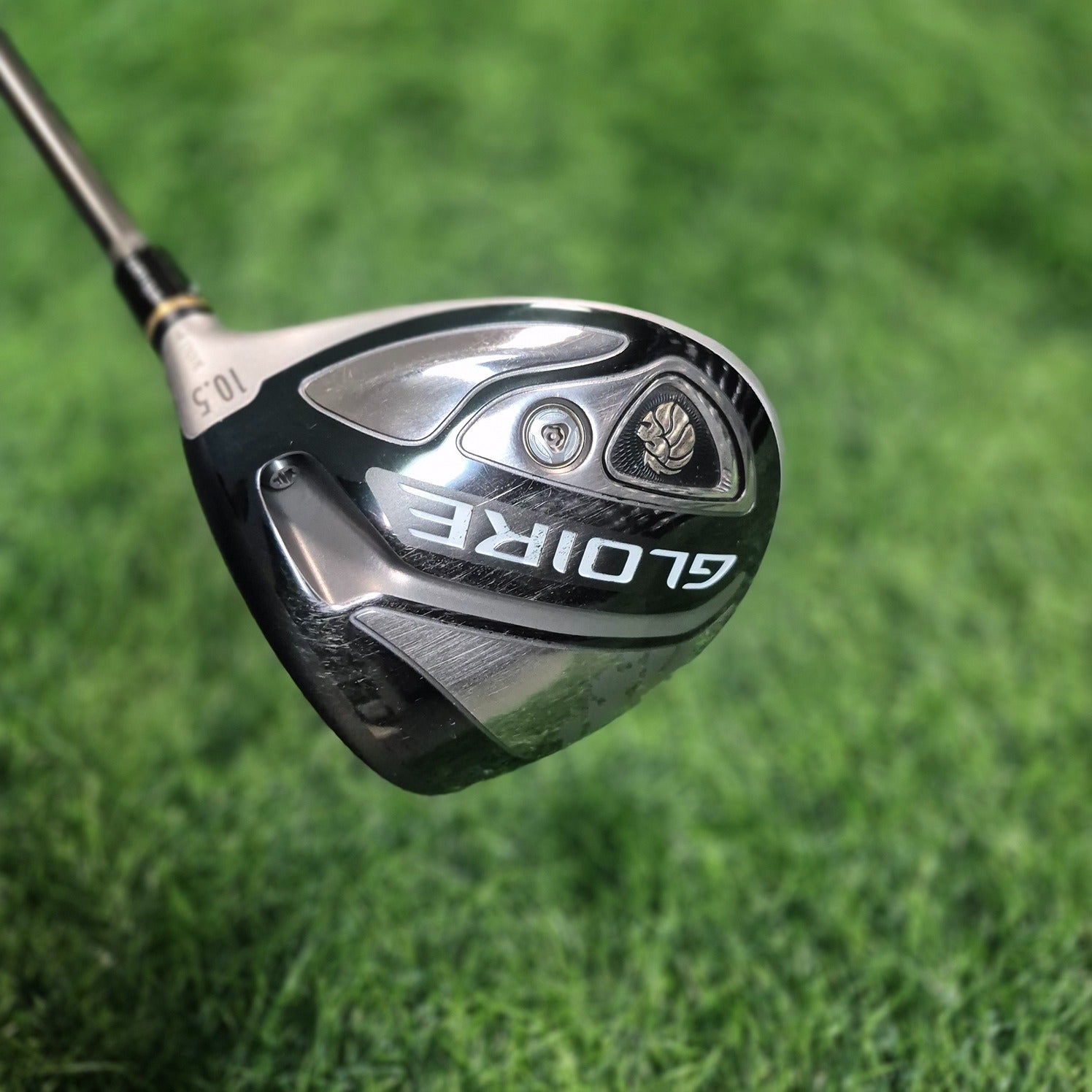 TaylorMade Driver / GLOIRE / 10.5 / R(S)