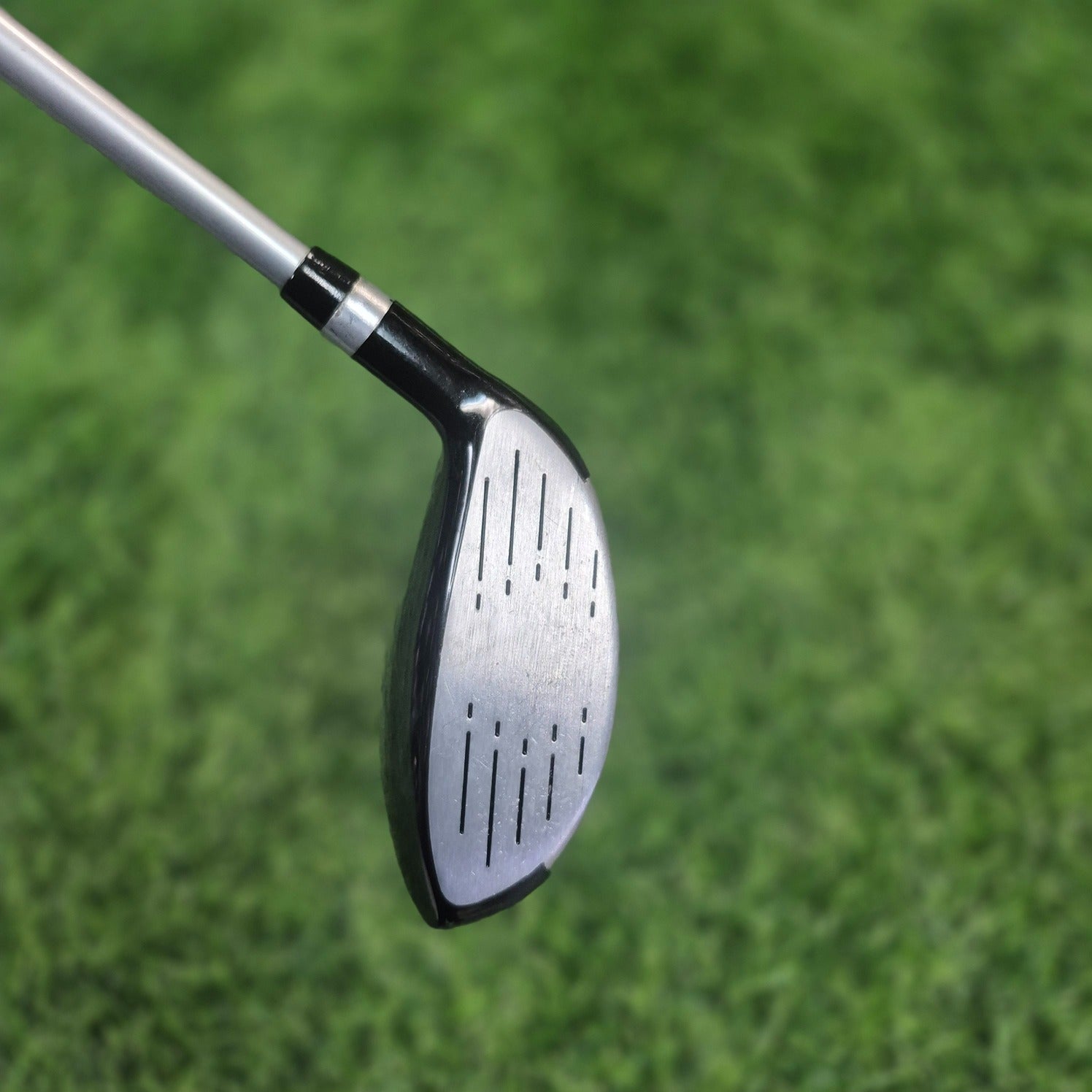 STRATA Wood / S Titanium / 5W / Women