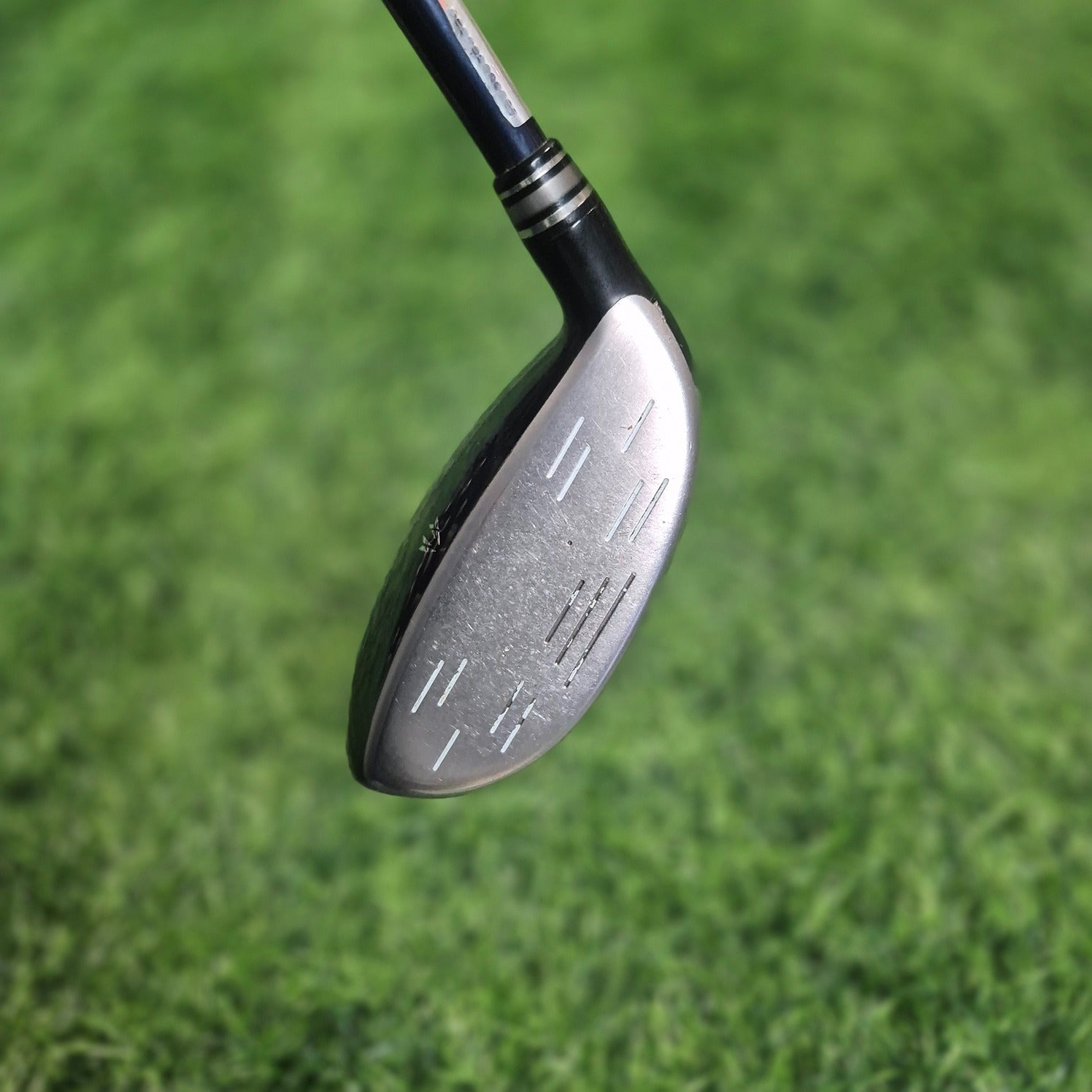 XXIO Wood / XXIO 10 / 5W(18.0) / R(S)