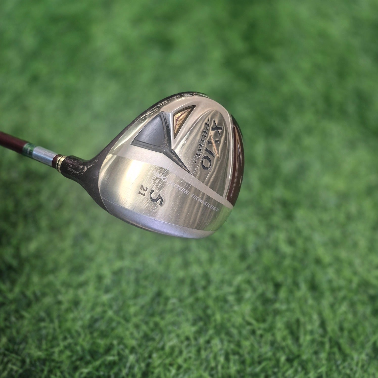 XXIO Wood / XXIO 7 Prime / 5W (21.0) / Women