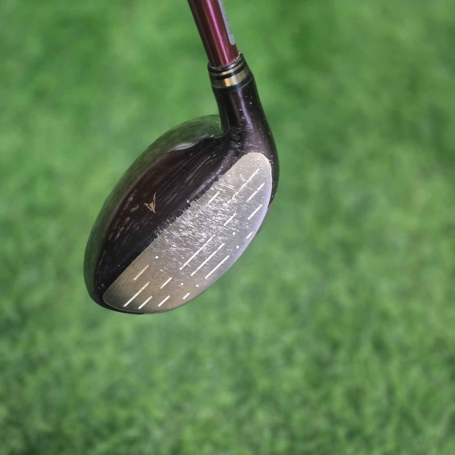 XXIO Wood / XXIO 7 Prime / 5W (21.0) / Women