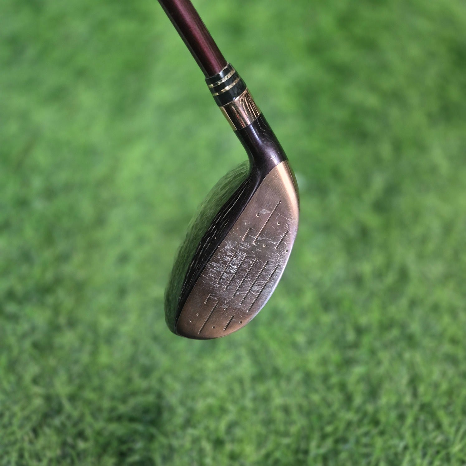 DAIWA Wood / DT-430L / 4W(19.0) / Women