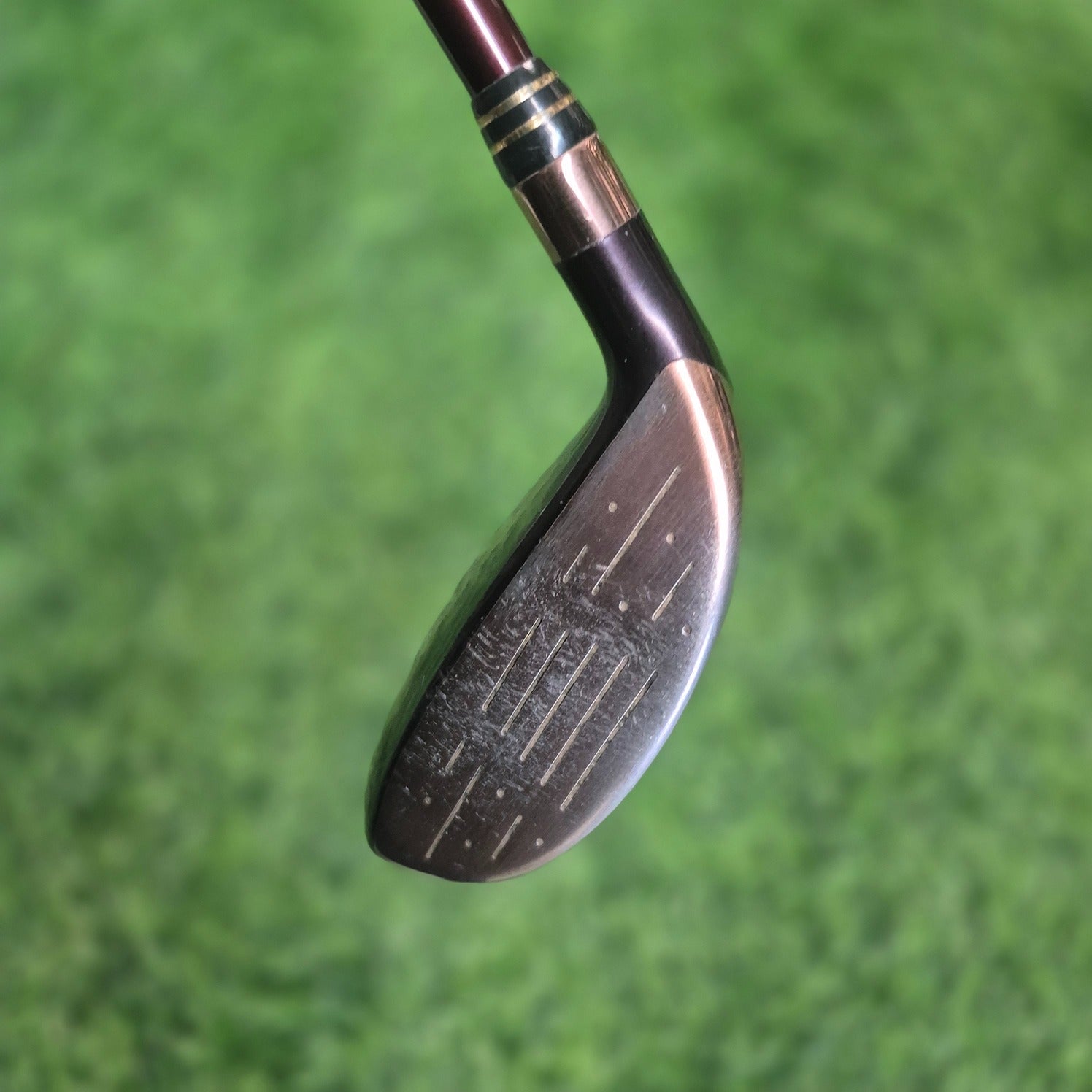 DAIWA Wood / DT-430L / 7W(22.0) / Women