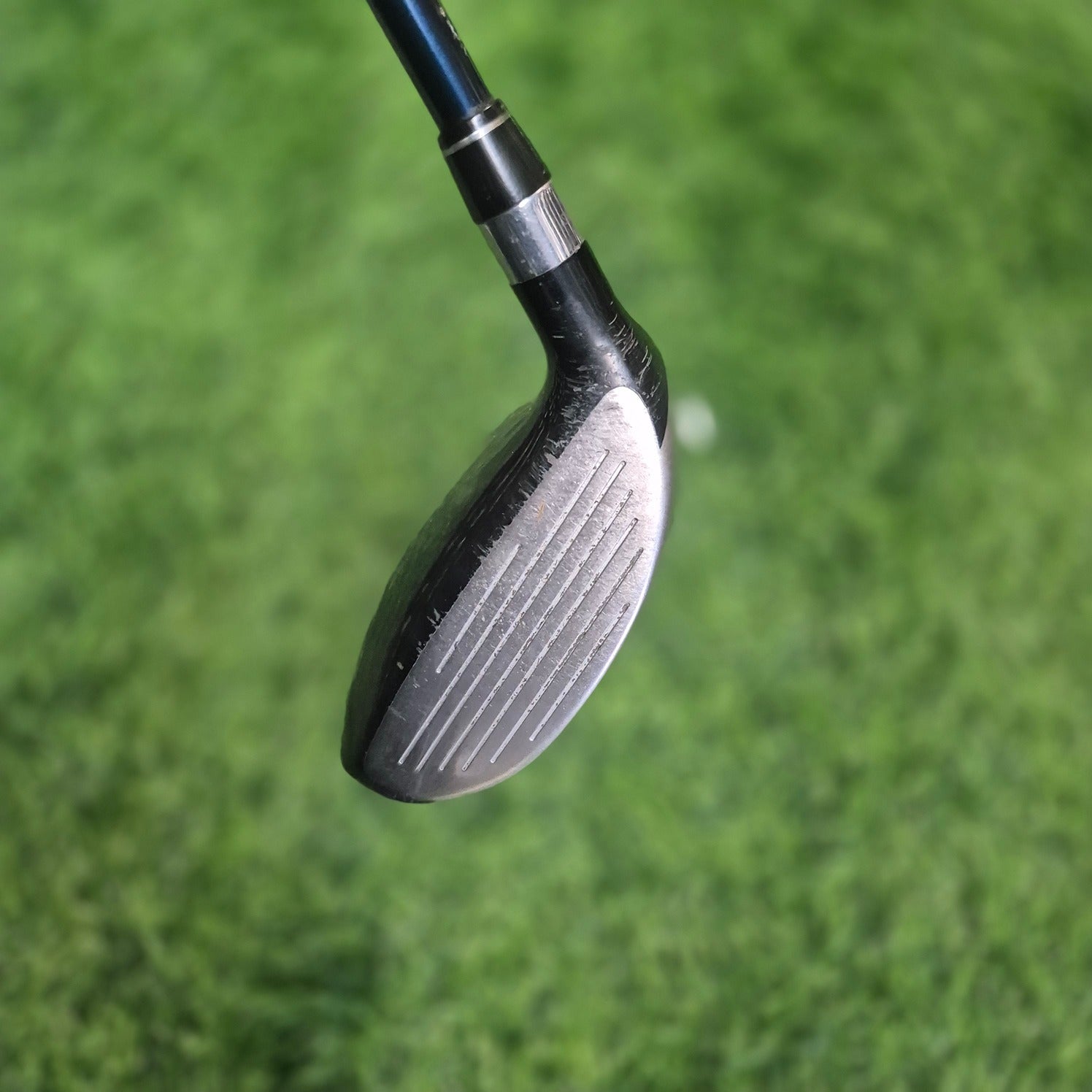 MacGregor Wood / MECTEC NX / 3W(16.5) / Women