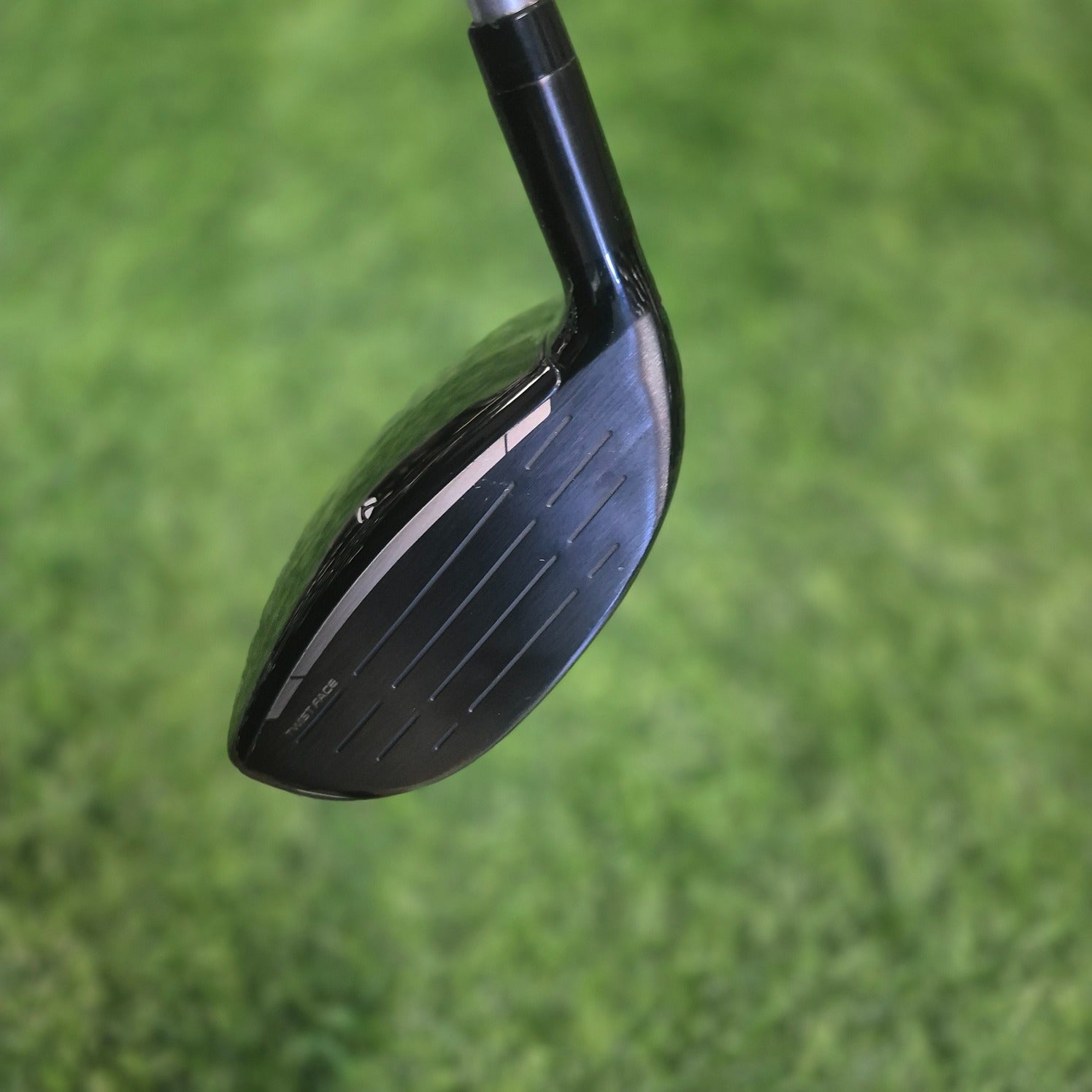 TaylorMade Wood / Qi10 MAX / 5W(19.0) / Women