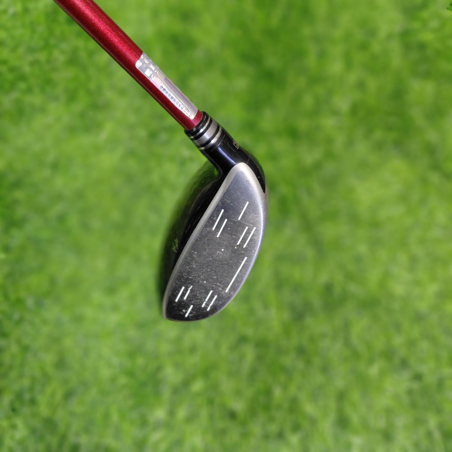 XXIO Wood / XXIO 10 / 3W(15.0) / R