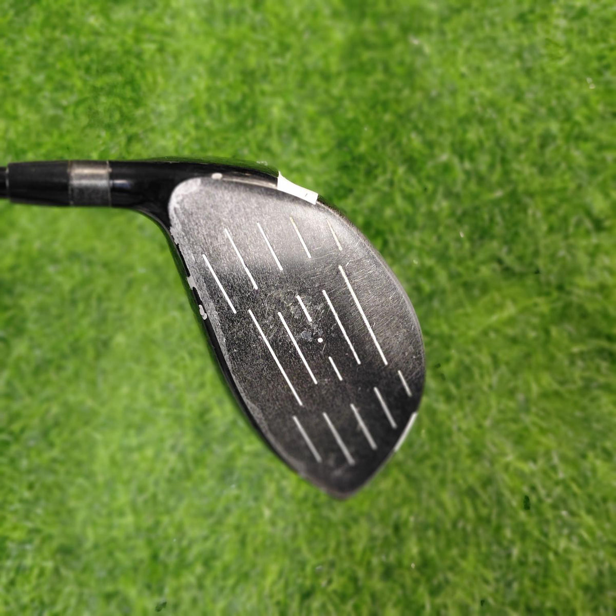 Tommy Armour Driver / SILVER SCOT / 12.0 / Women