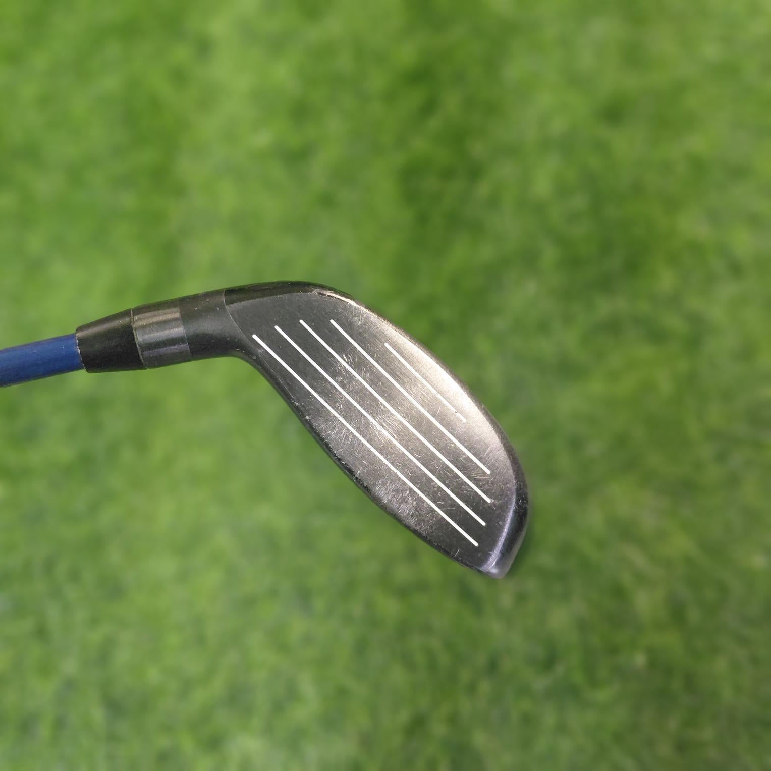 PXG Wood / PXG 0341 / 3W / R