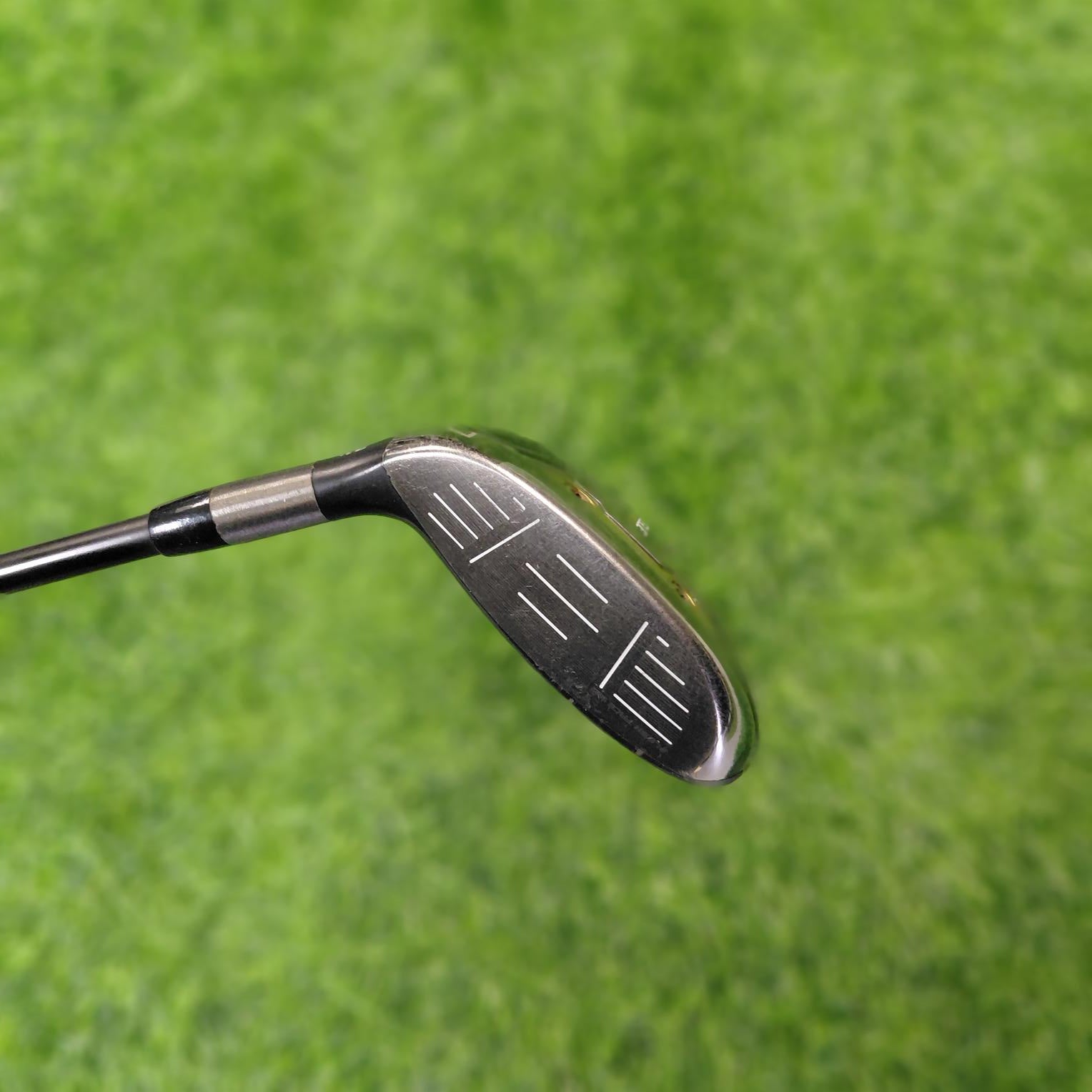 Callaway Wood / ROGUE ST MAX / 7W(21.0°) / R(S)