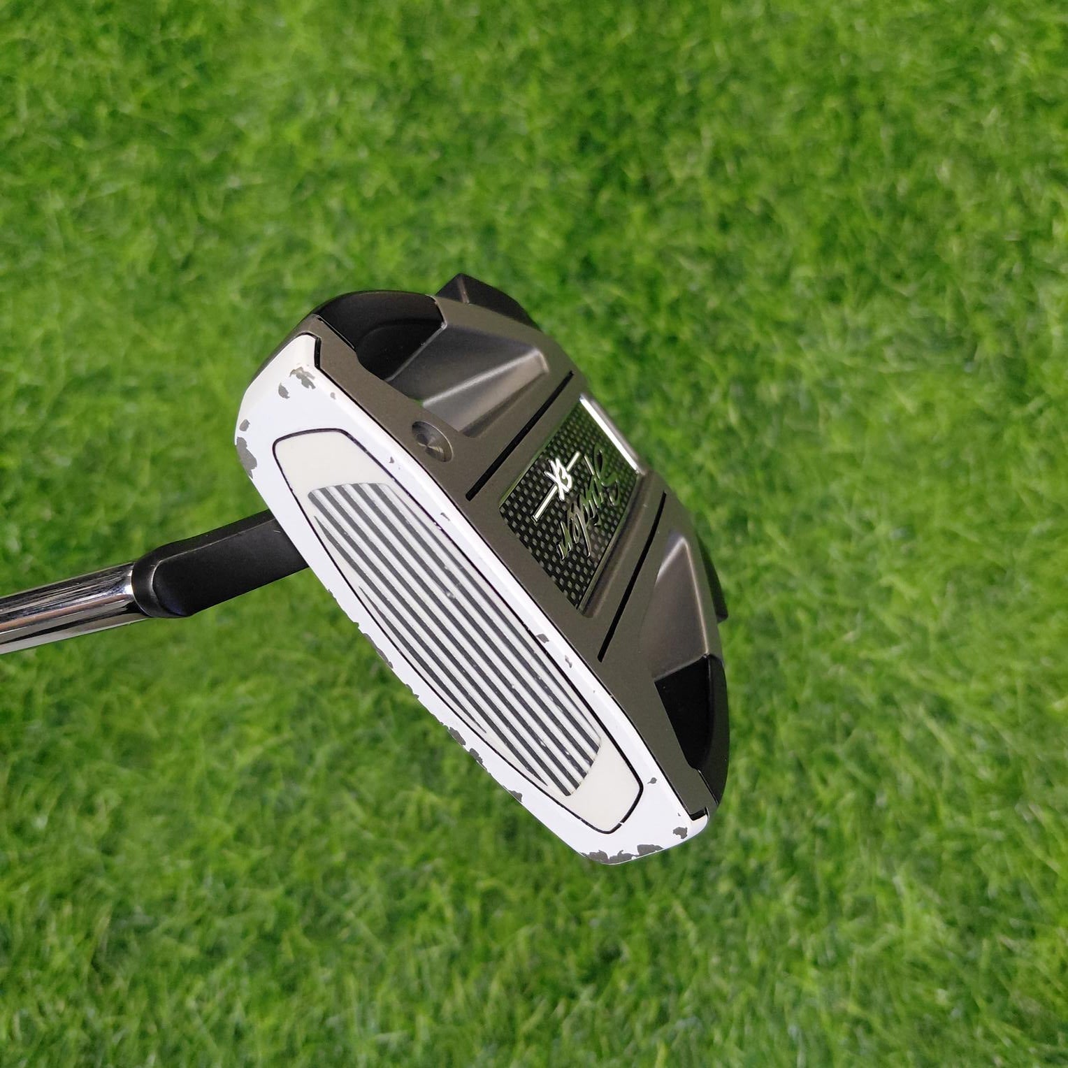 TaylorMade Putter / SPIDER EX PL/WH /White / 34"