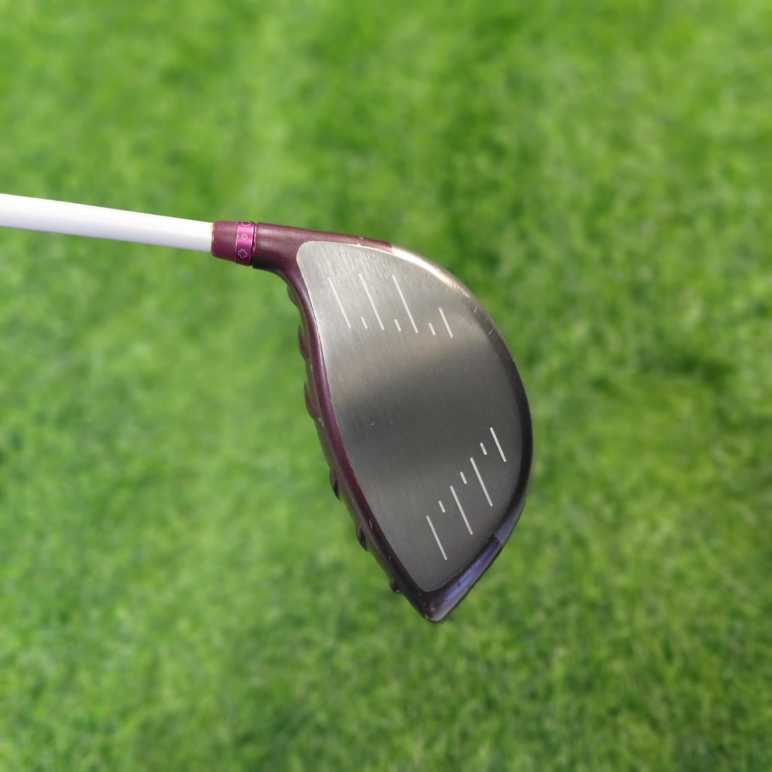 PING Driver / GLe2 / 11.5 / Women / A