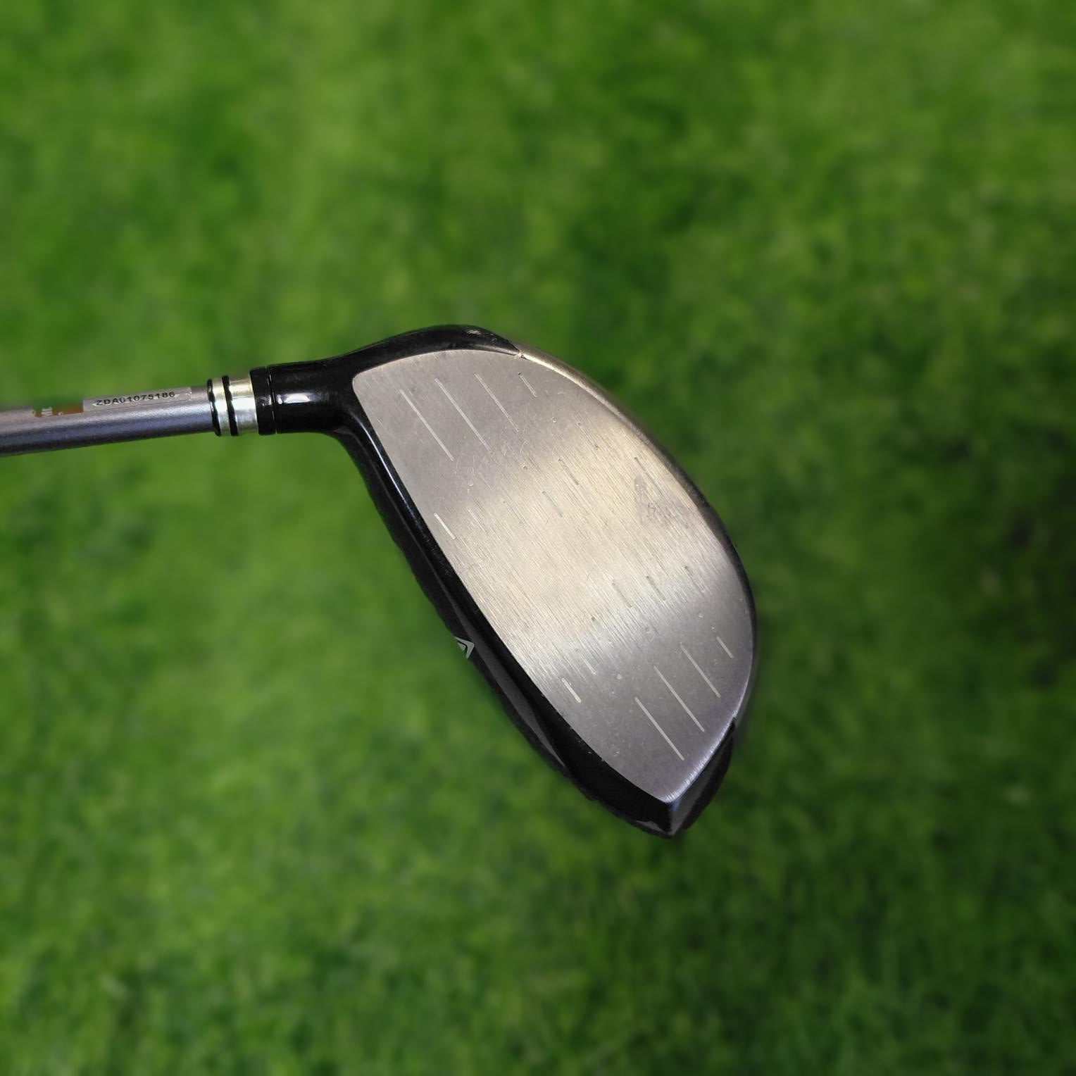XXIO Driver / XXIO 7 / 12.5° / A / Women