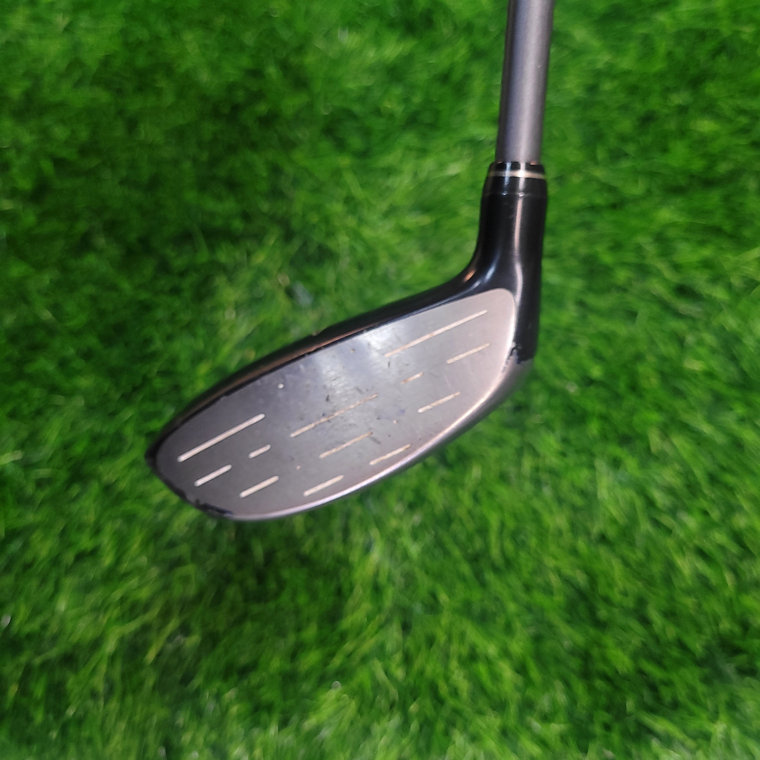 XXIO Wood / XXIO 3 / 5W / Women