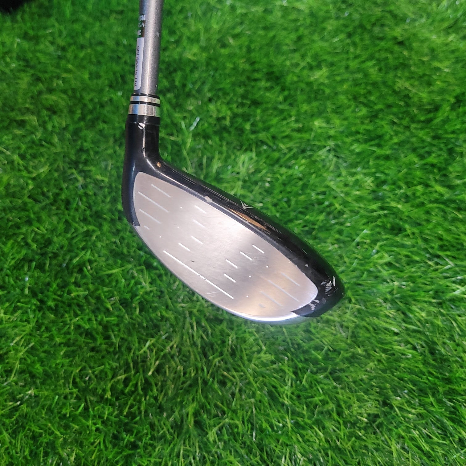 XXIO Wood / XXIO / 3W / Lefty / R