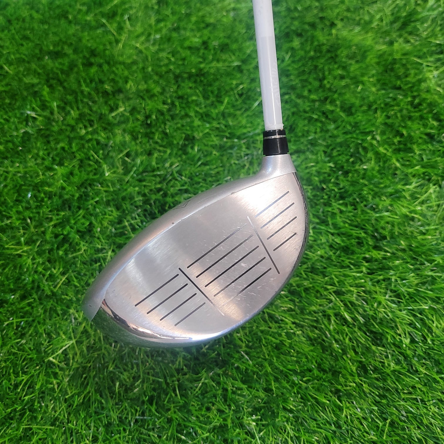 Callaway Driver / Filly / 12.5 / A / Women