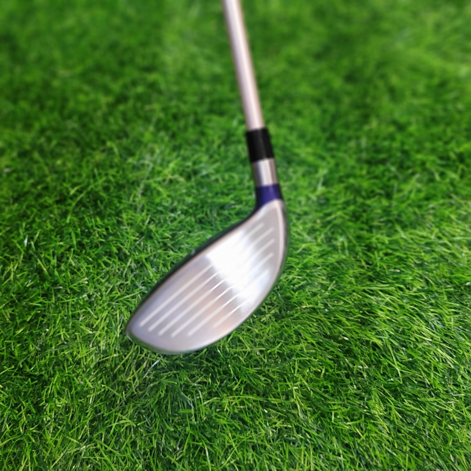 Mizuno Wood / EURUS / 5W / Women
