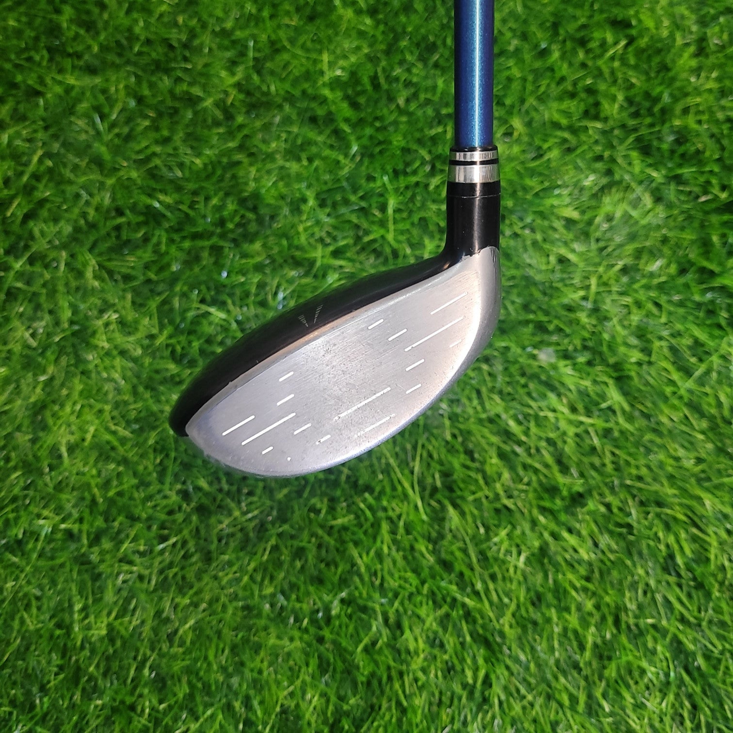 XXIO Wood / XXIO 8  / 4W /  R
