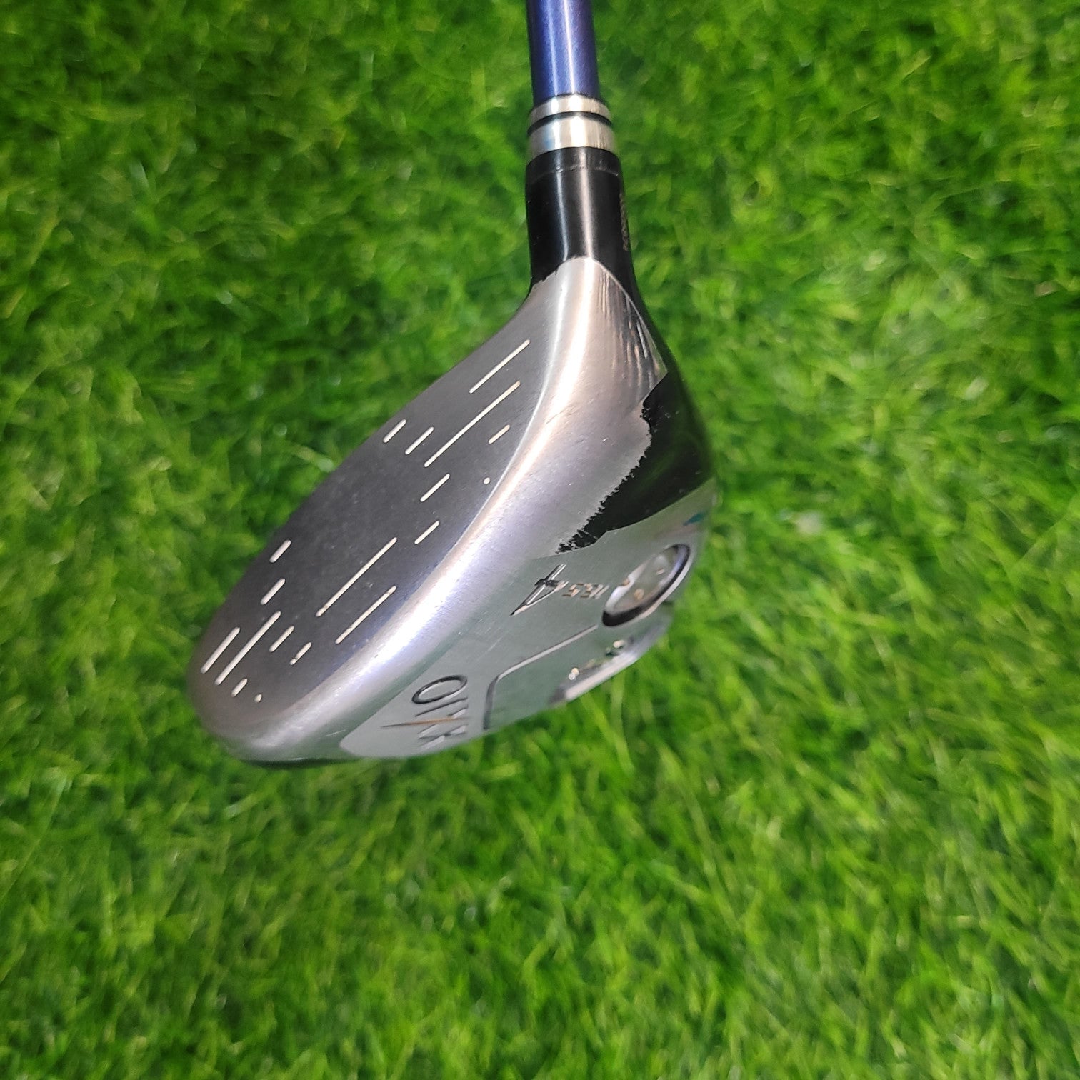 XXIO Wood / XXIO 8  / 4W /  R