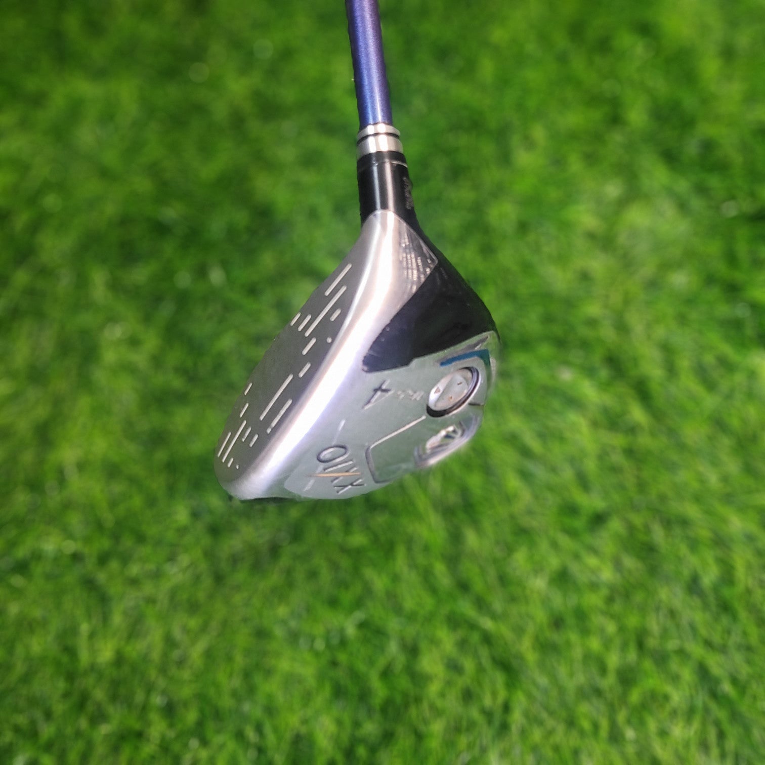 XXIO Wood / XXIO 8  / 4W /  S
