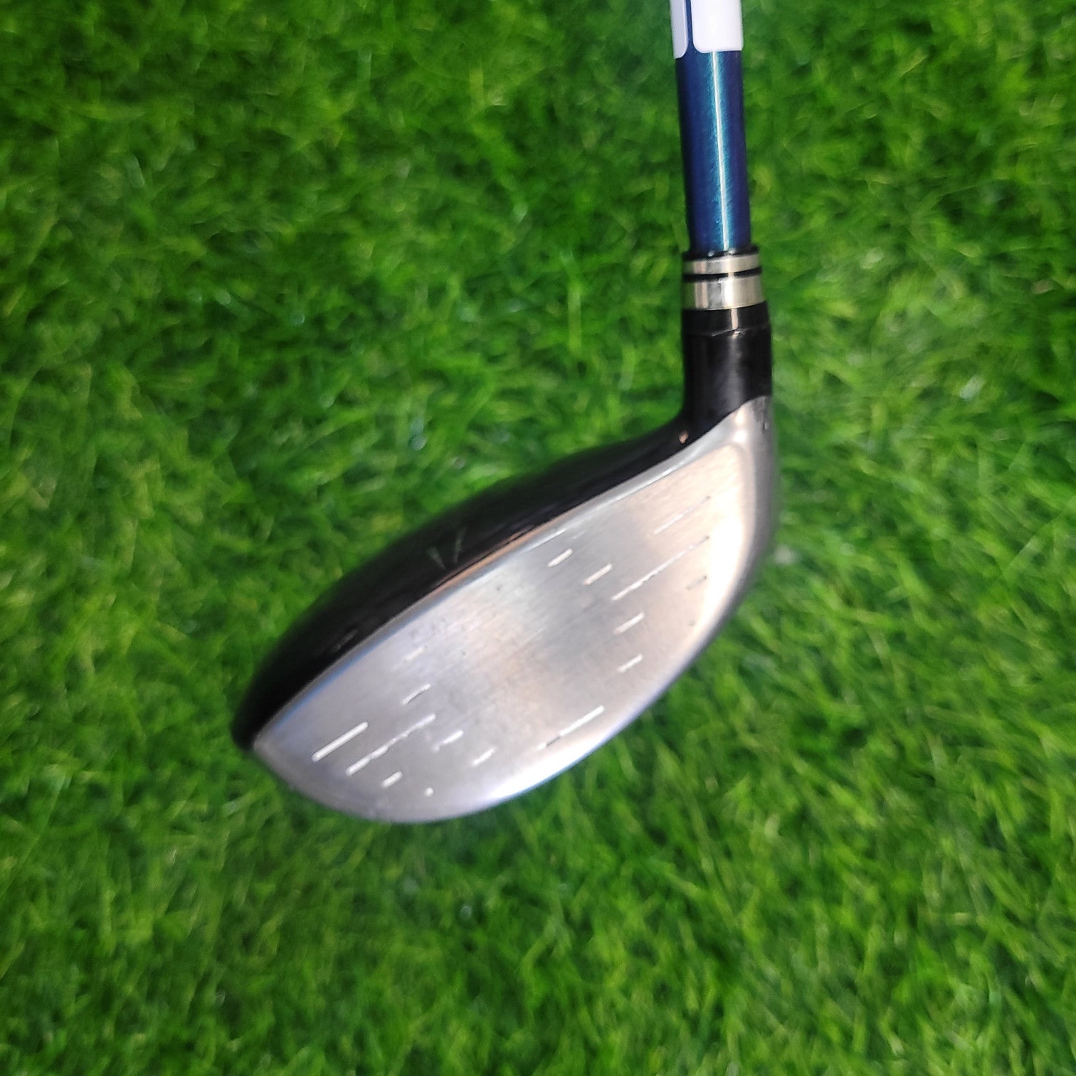 XXIO Wood / XXIO 8  / 3W /  S