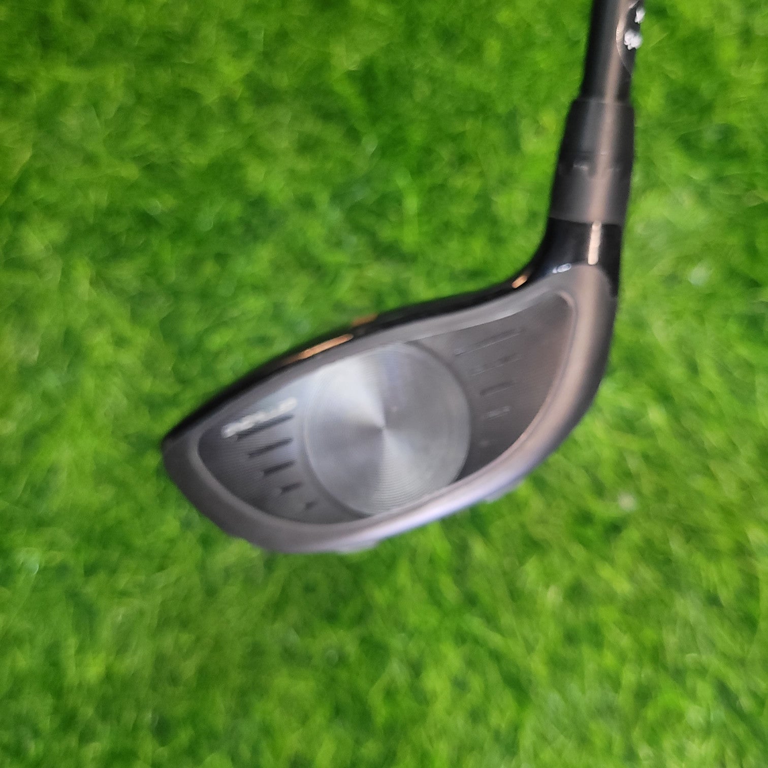 Cobra Wood / SPEEDZONE / 5W  / Women