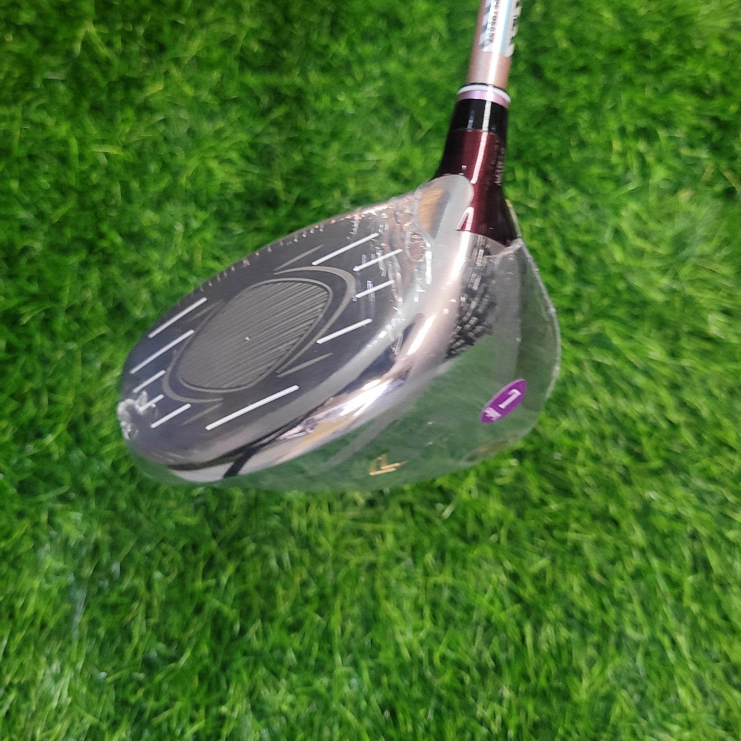 XXIO Driver / XXIO 12 / 12.5 / Women / L / Red (New)