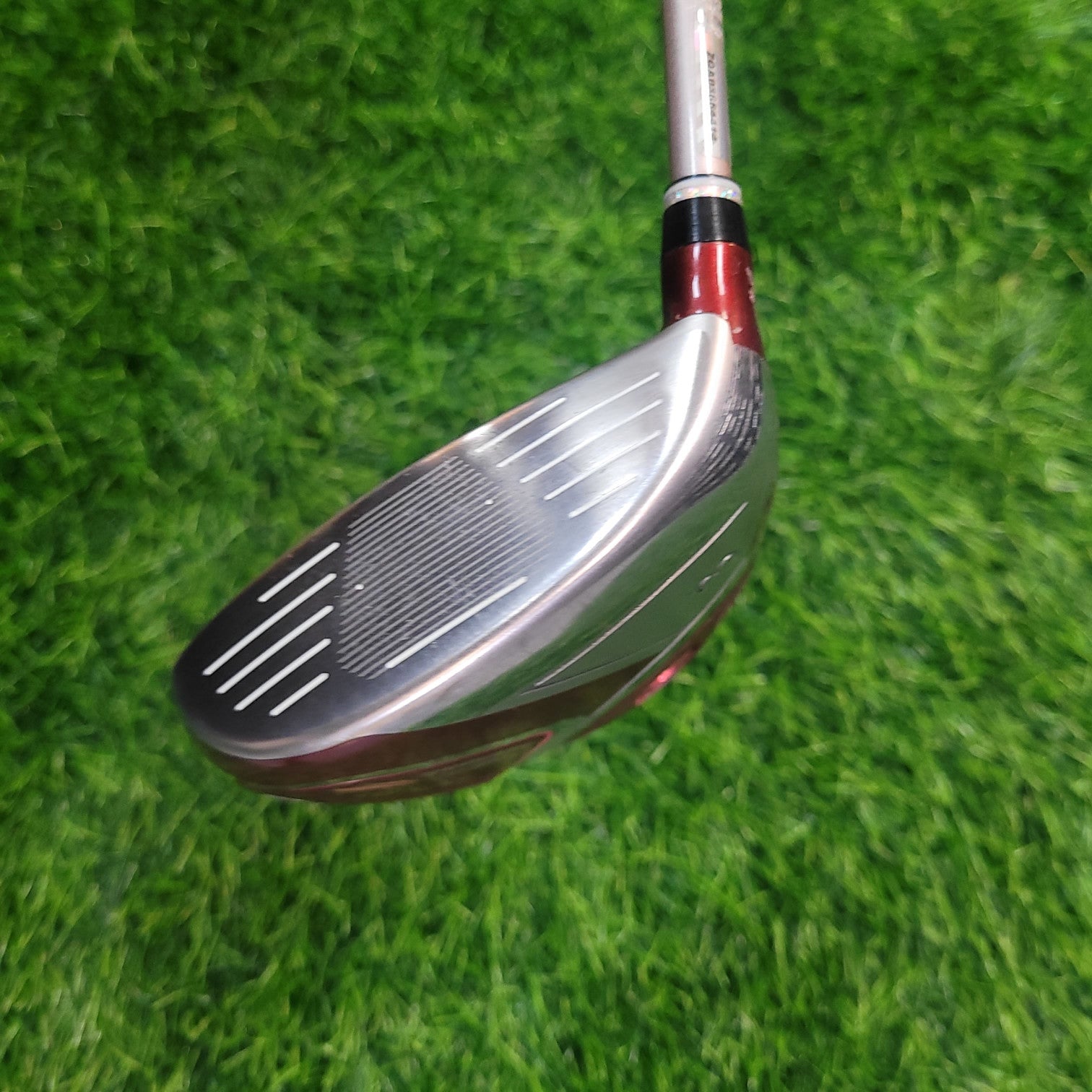 XXIO Wood / XXIO 11 / 3W / Women / A