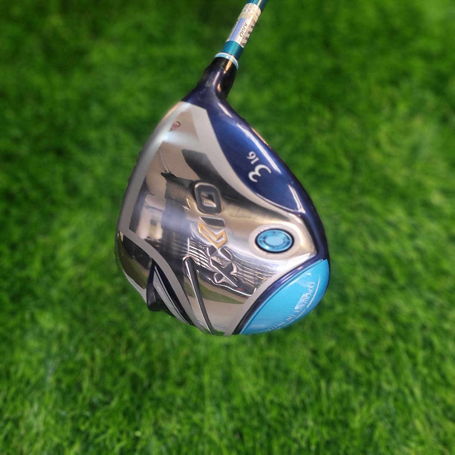 XXIO Wood / XXIO 12 / 3W / Women / A