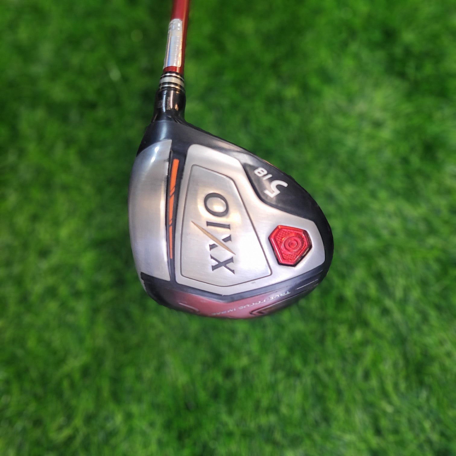 XXIO Wood / XXIO 10 / 5W(Red) / R