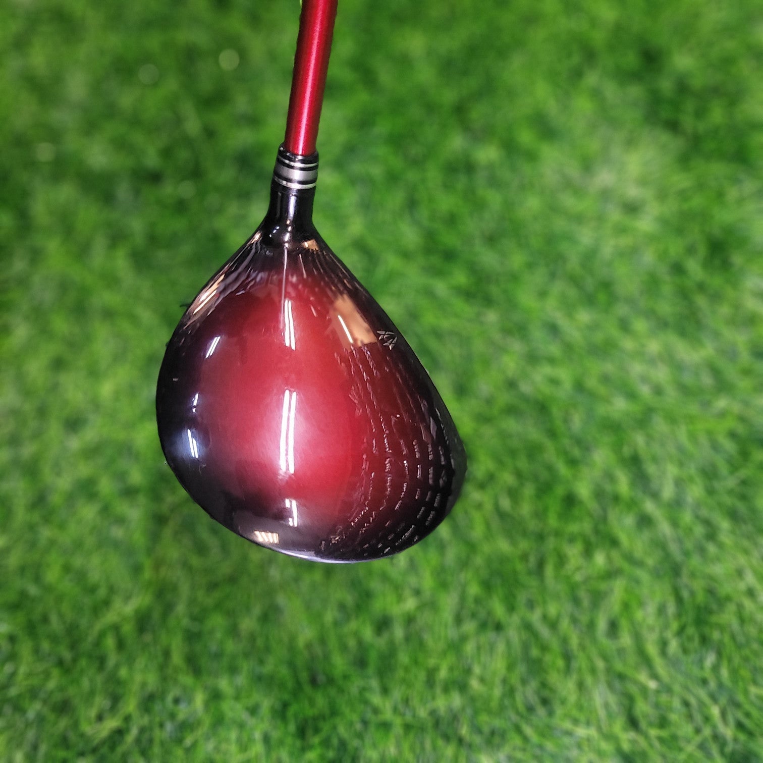 XXIO Wood / XXIO 10 / 5W(Red) / R