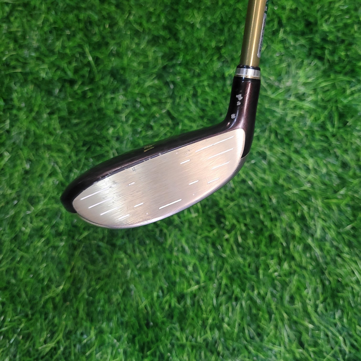 XXIO Wood / XXIO 7 PRIME(+1") / 3W(16.0) / Women / A
